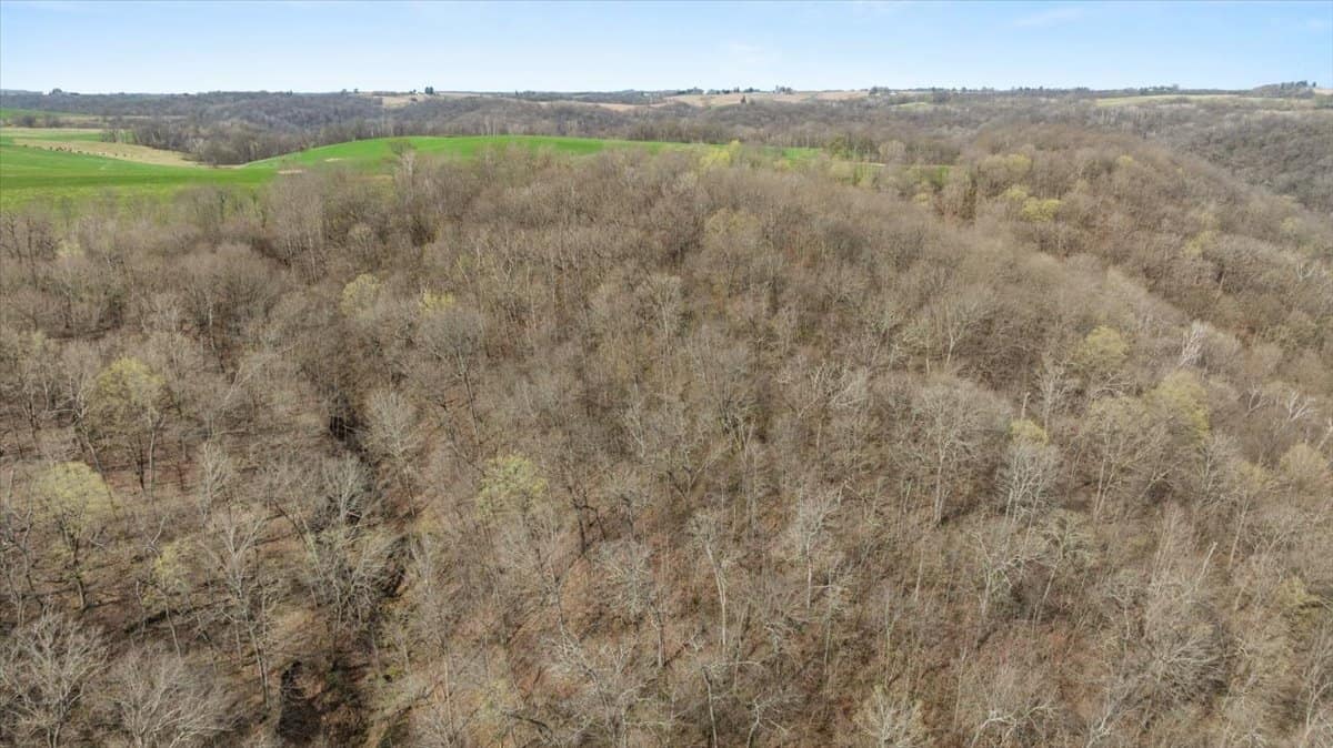 29± Acres of Driftless Beauty | Woods, Water, Pole Shed & Cottage.32