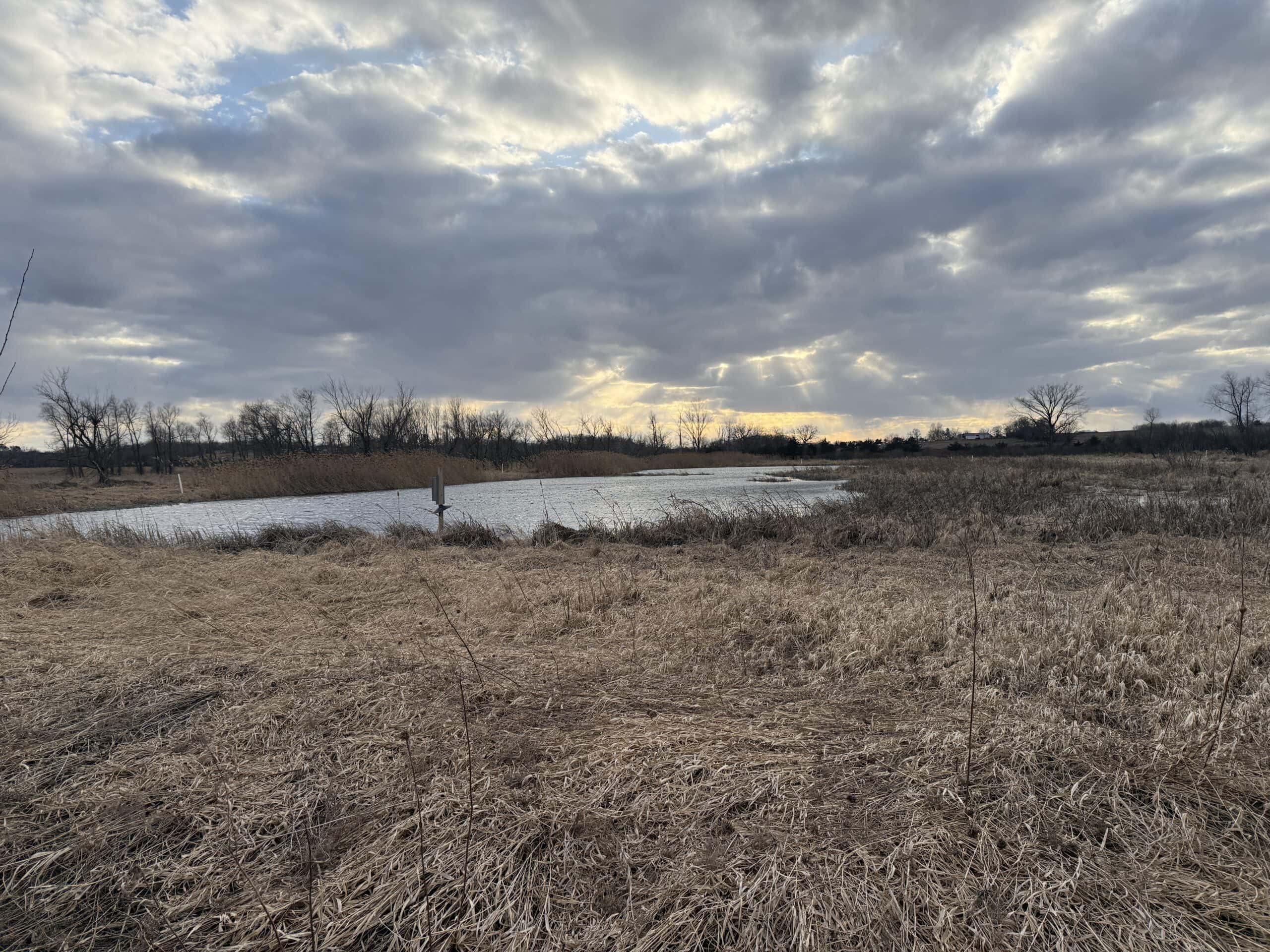 44± Acre Premier Duck and Deer Hunting Property Marquette Cty WI