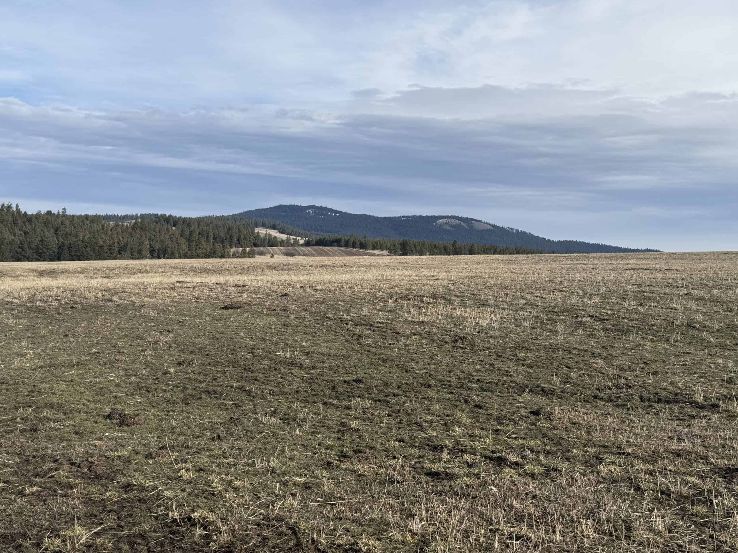 Land for Sale in Idaho County, ID at Hatke Place Ranch