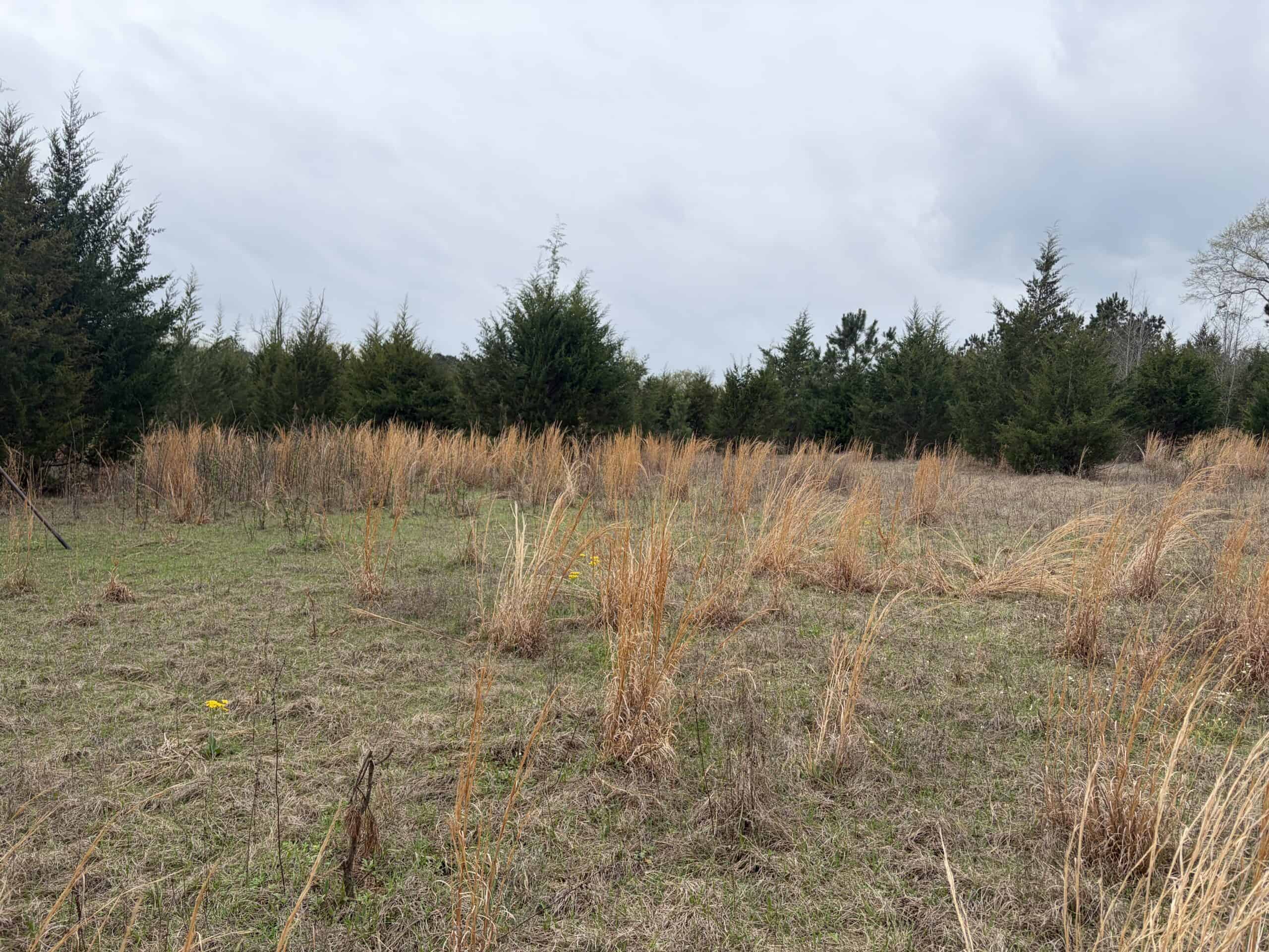 ±22 Acres with Views, Creek & Homesites Near Linden, Texas