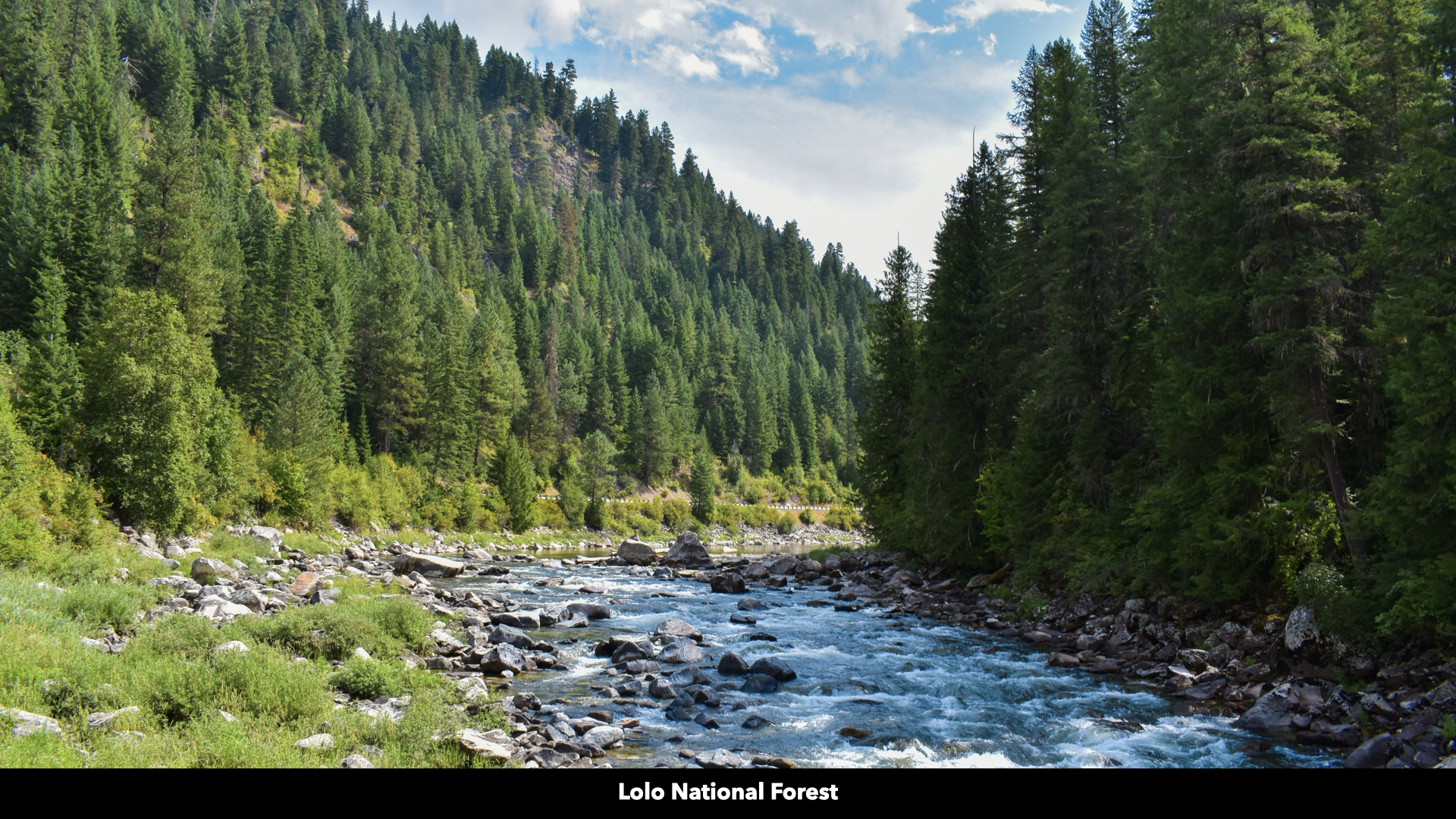 Riverfront Acreage For Sale in St. Regis, Montana