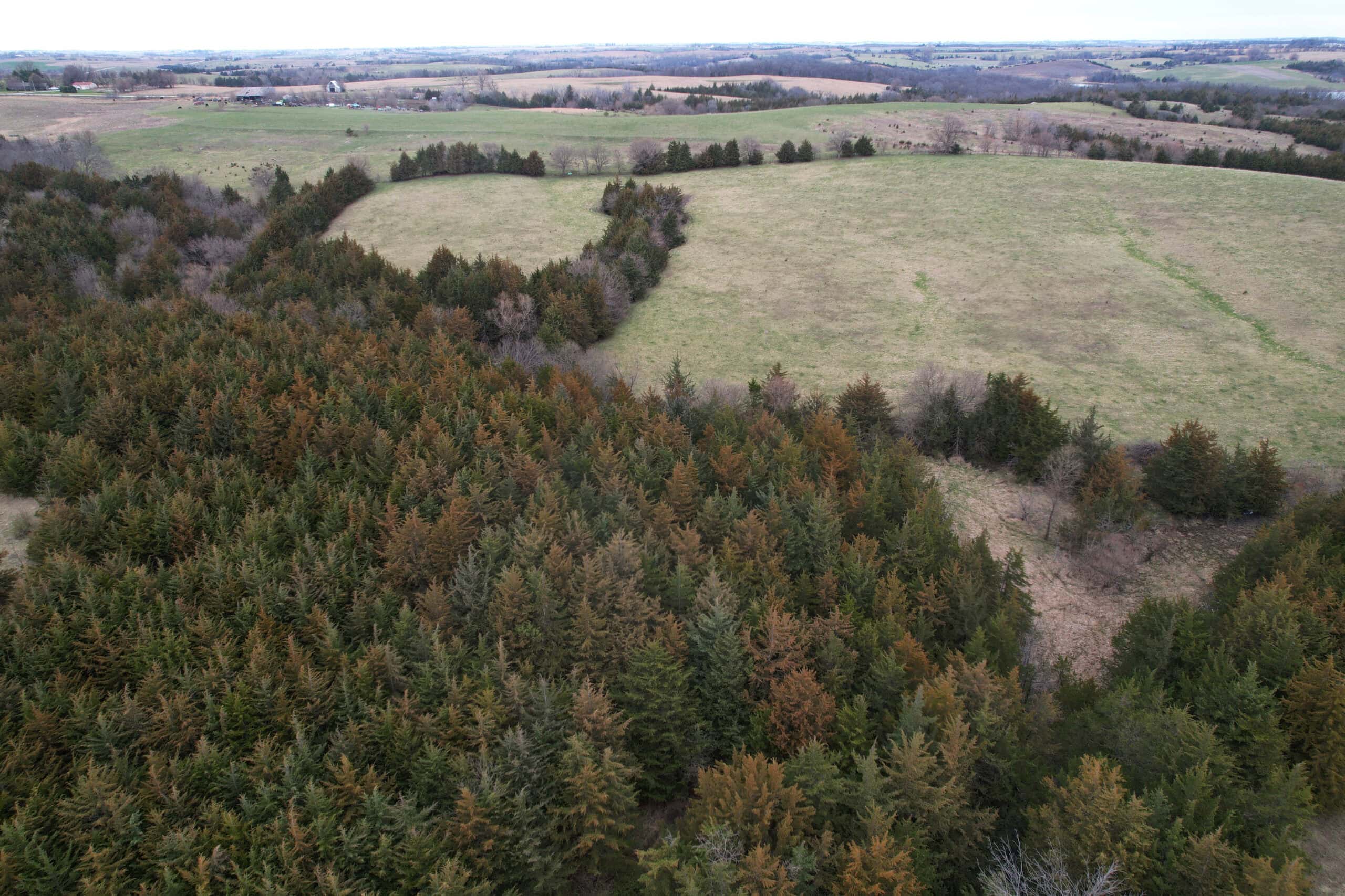Southwest Iowa Combination Farm