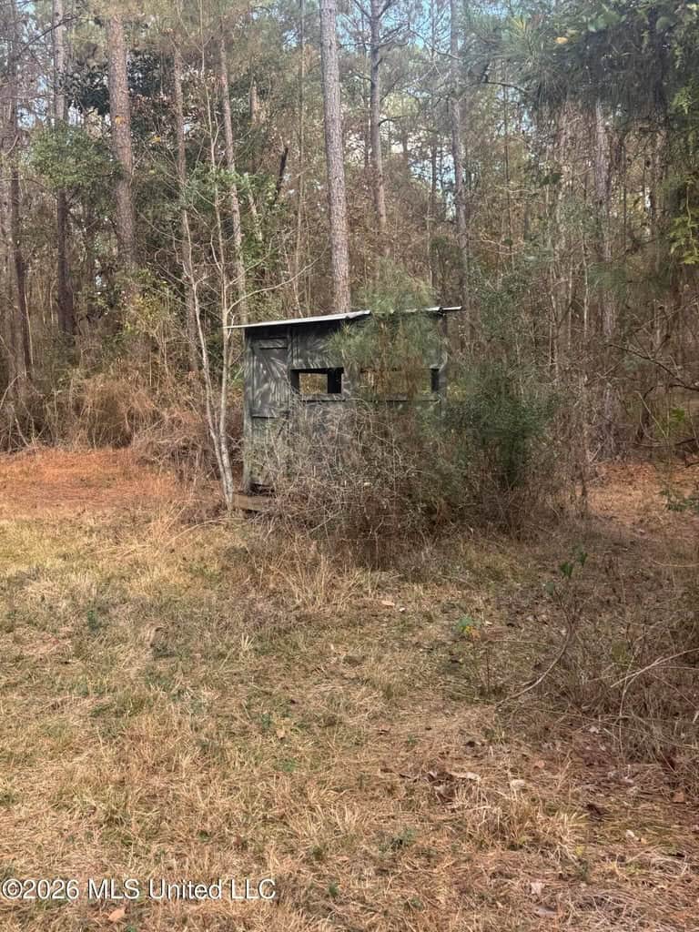 South Mississippi Hunting Land for Sale in Walthall County