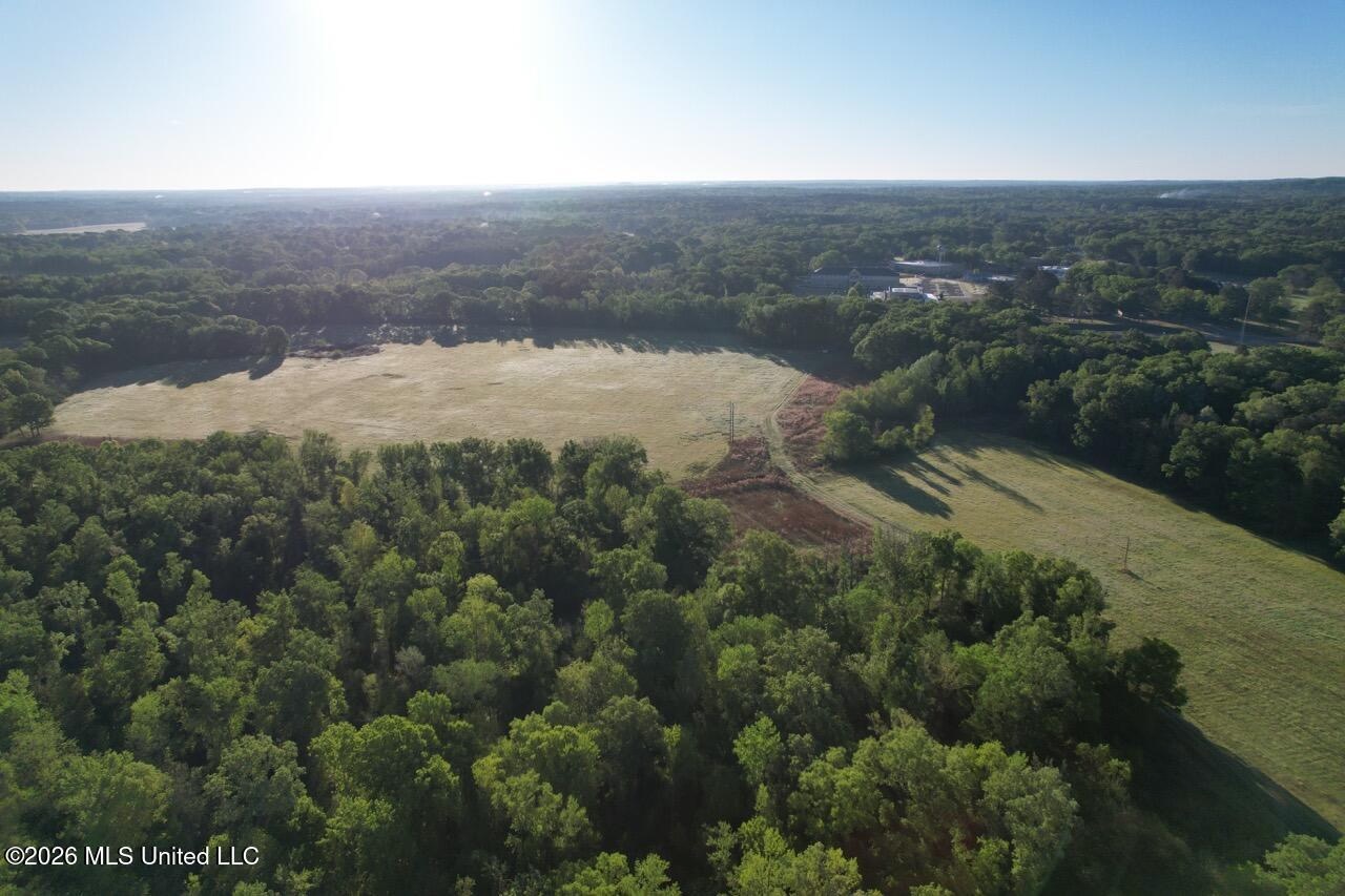 266± Acres Hinds/Copiah Line with Creek and Income