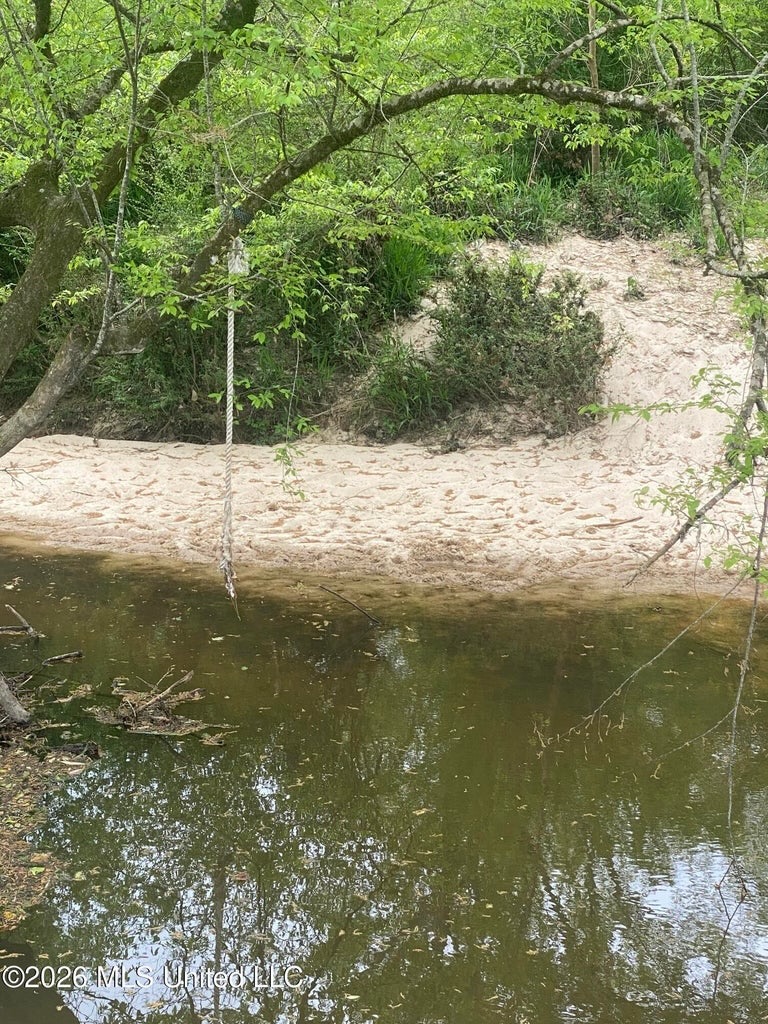 Hunting and Recreational Land for Sale in Amite County, Miss