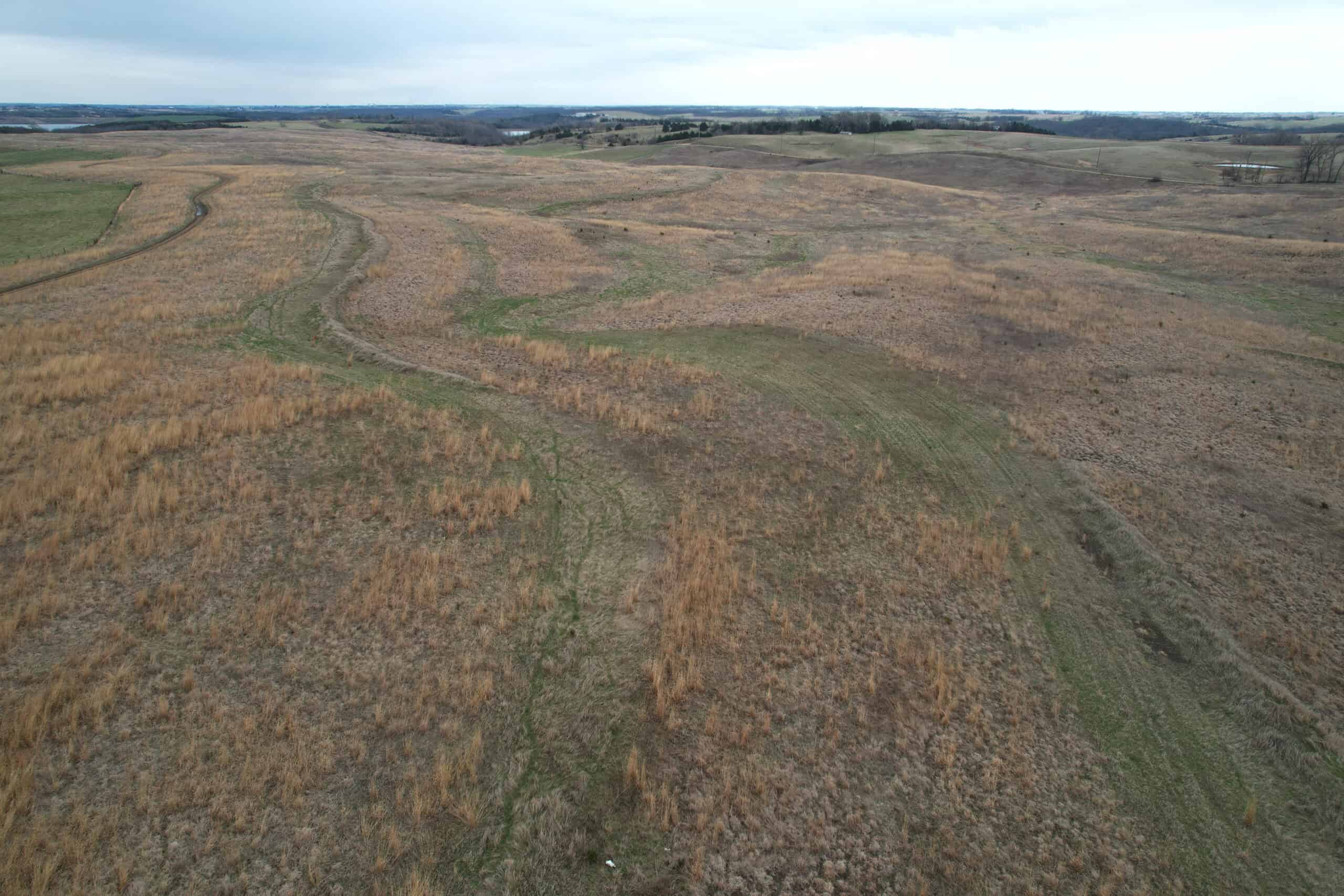 Southwest Iowa Recreational CRP Farm