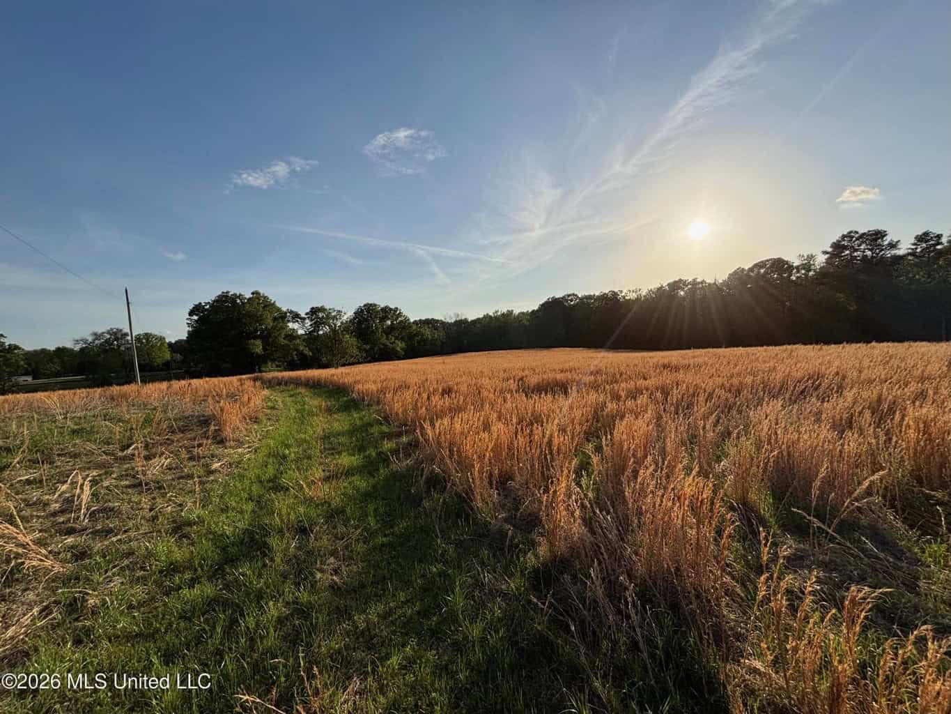77 Acres in Edwards, MS Hinds County Big Black River Region