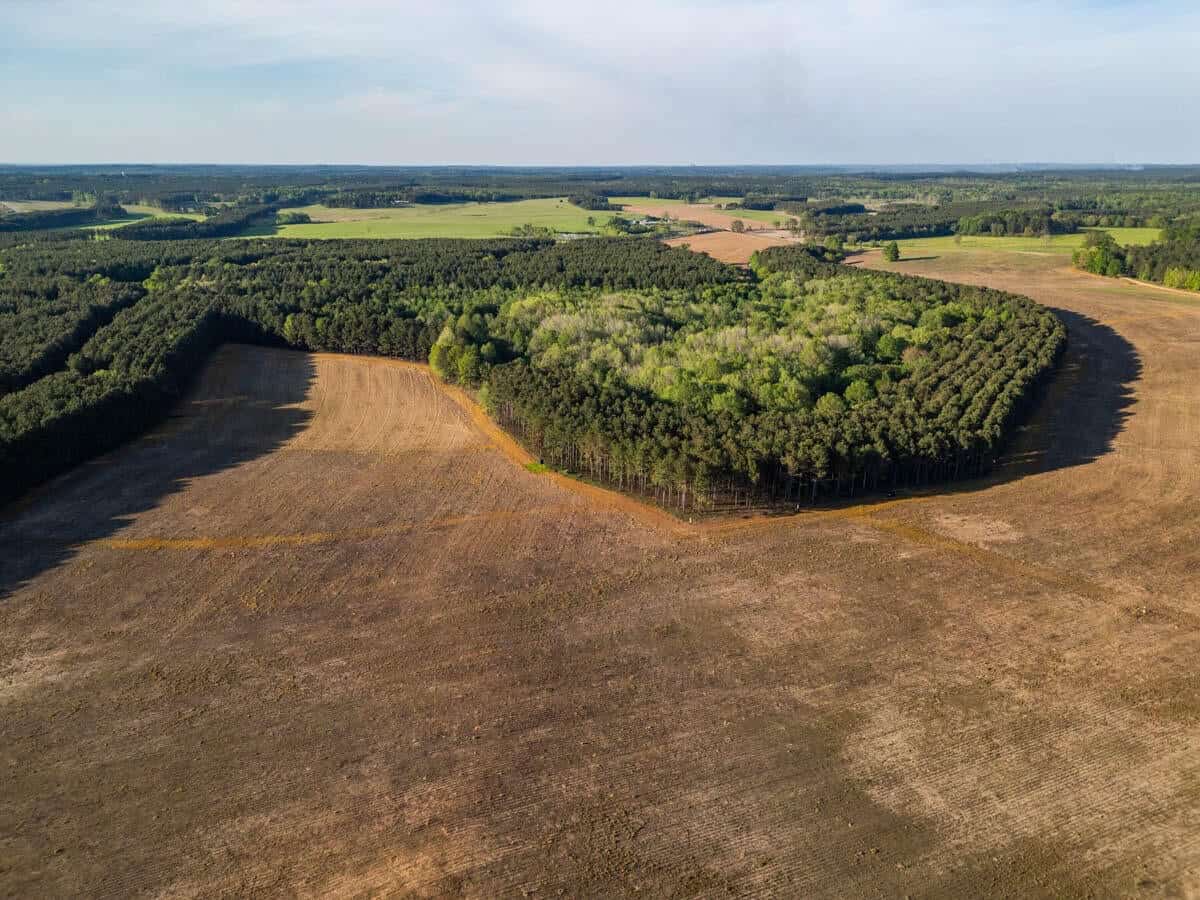 455 Acres Hunting & Income Land in Choctaw County MS