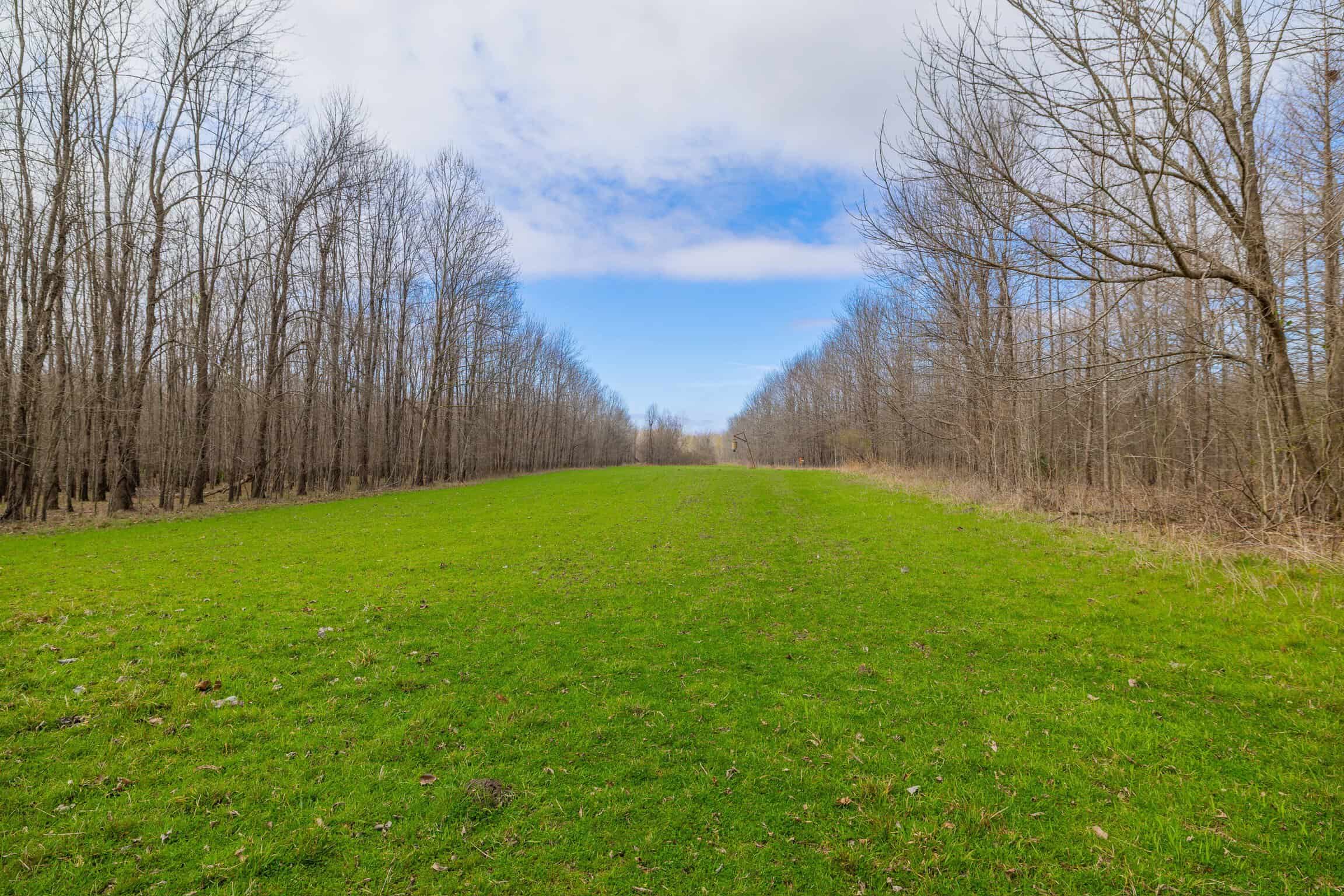 Tensas Parish Duck and Deer Hunting Property