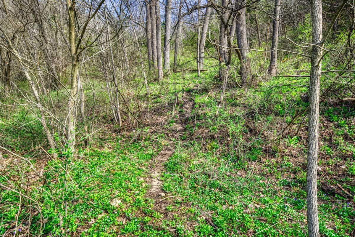 29± Acres of Driftless Beauty | Woods, Water, Pole Shed & Cottage.32