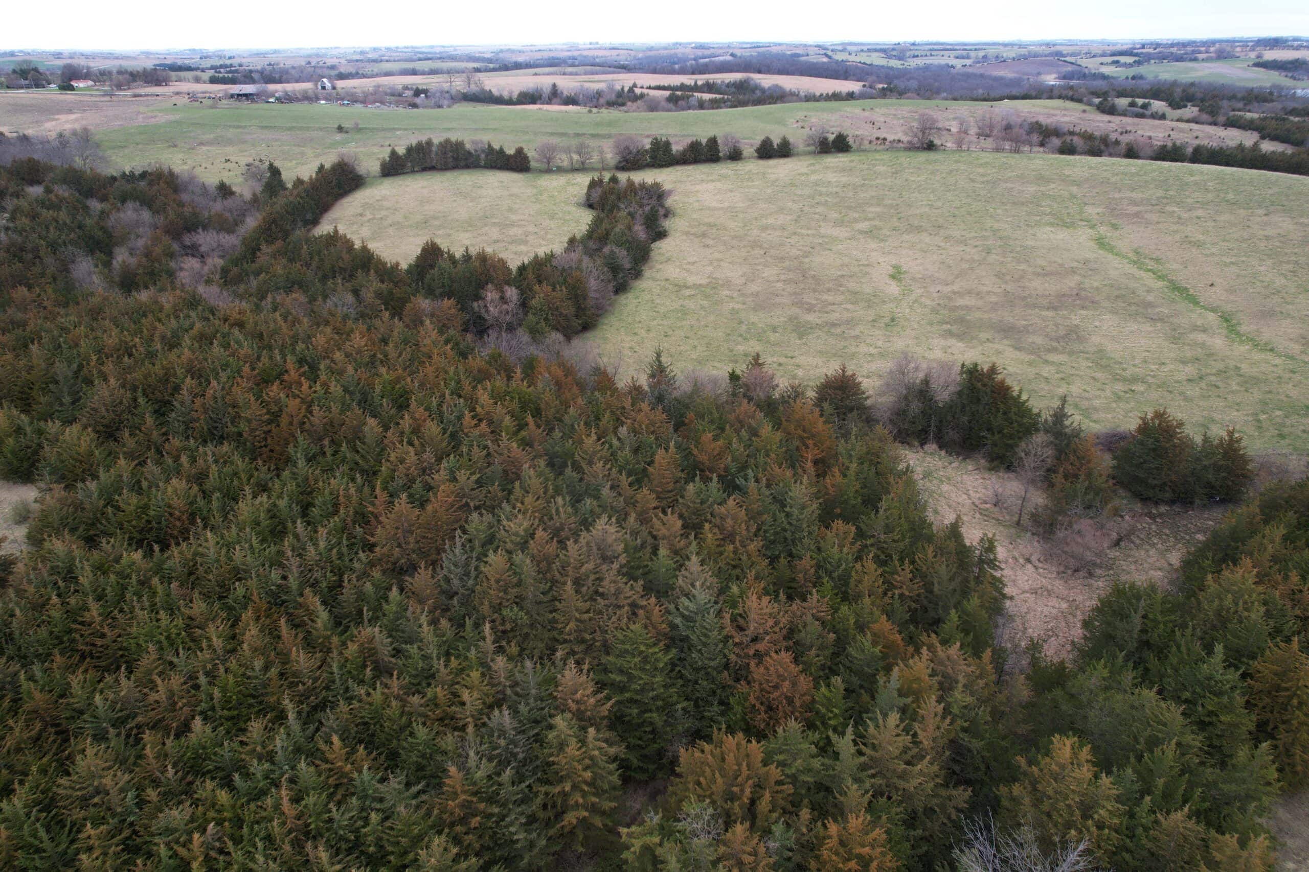 Southwest Iowa Combination Farm