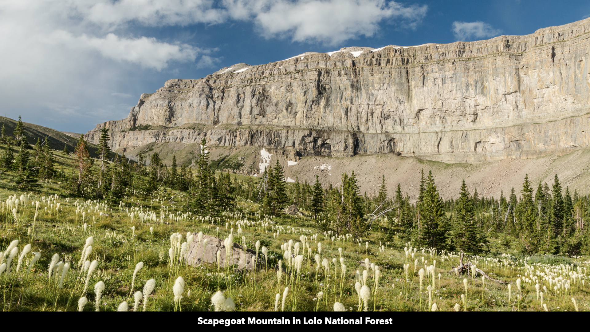 Riverfront Acreage For Sale in St. Regis, Montana