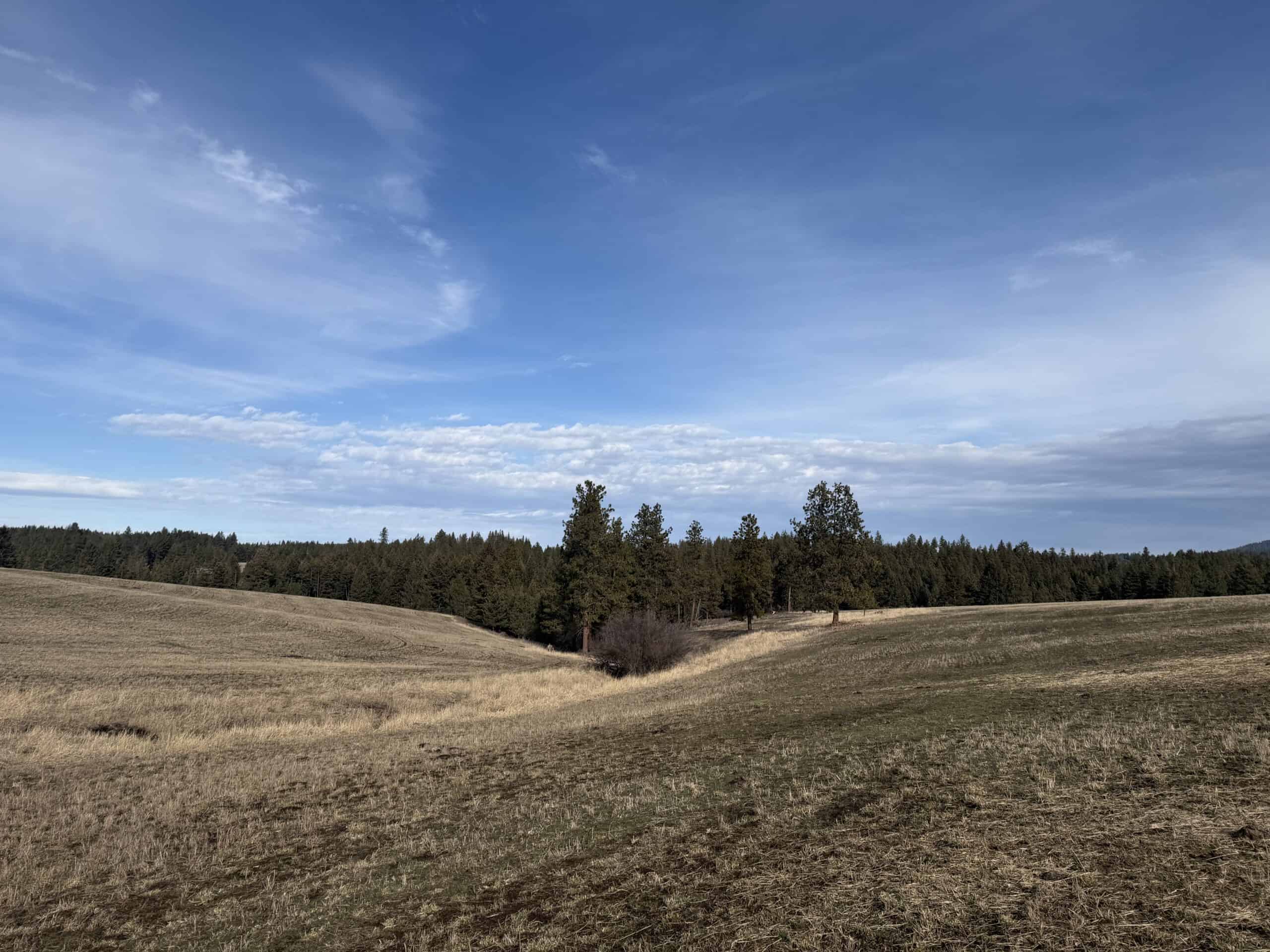 Land for Sale in Idaho County, ID at Hatke Place Ranch