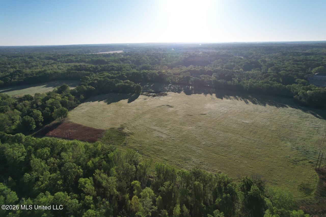 266± Acres Hinds/Copiah Line with Creek and Income