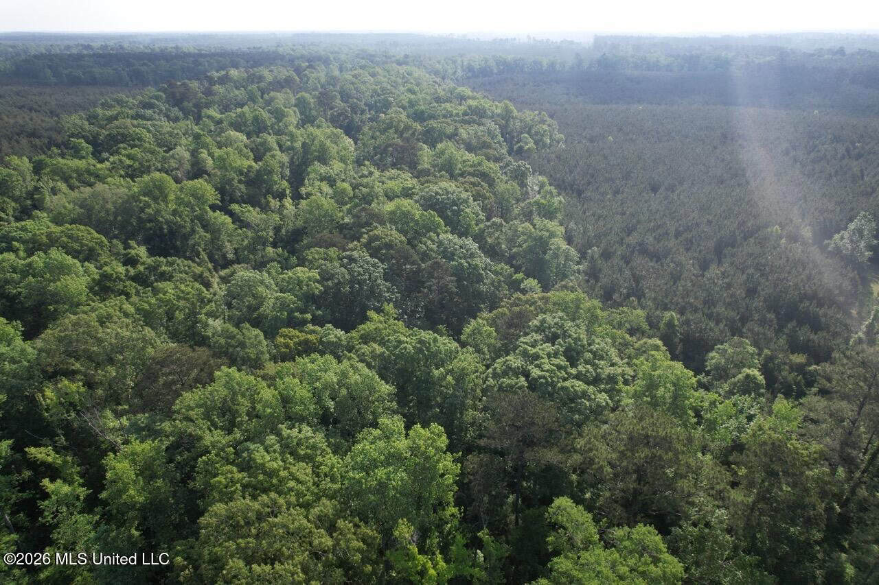 46 Acres in St. Helena Parish, LA Hunting Property for Sale