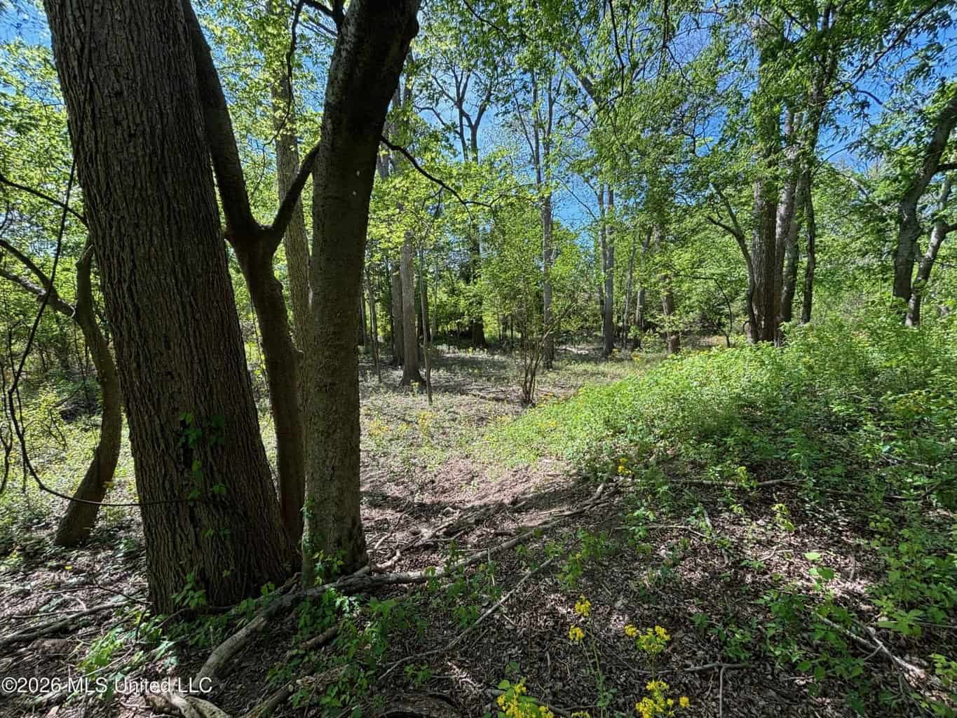 Duckport Legacy Waterfowl and Whitetail Recreational Tract