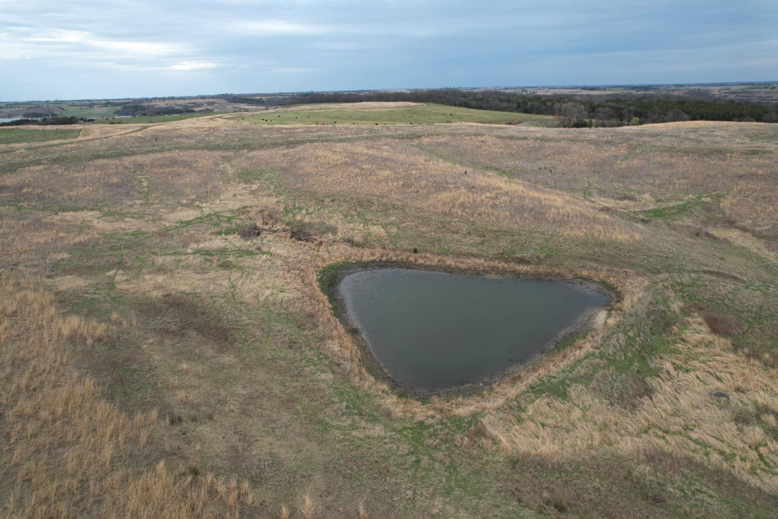 Southwest Iowa Income Producing Combination Farm