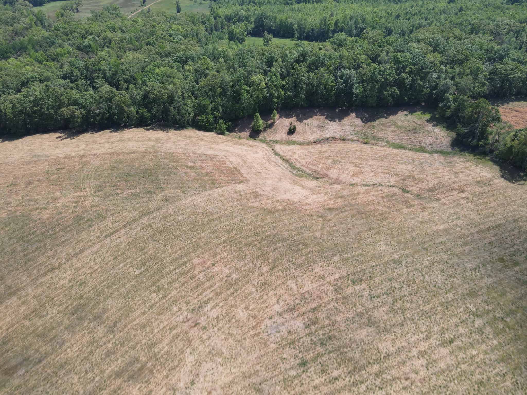 HOBBY FARM FOR SALE IN TN. AMAZING BUILDING SITES WITH VIEWS AND DEER HUNTING LAND FOR SALE IN TENNESSEE.