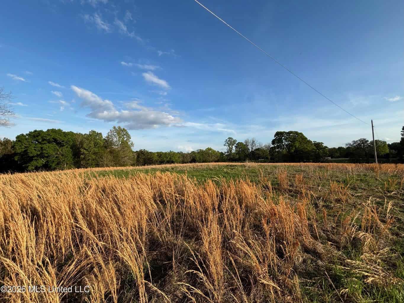 77 Acres in Edwards, MS Hinds County Big Black River Region