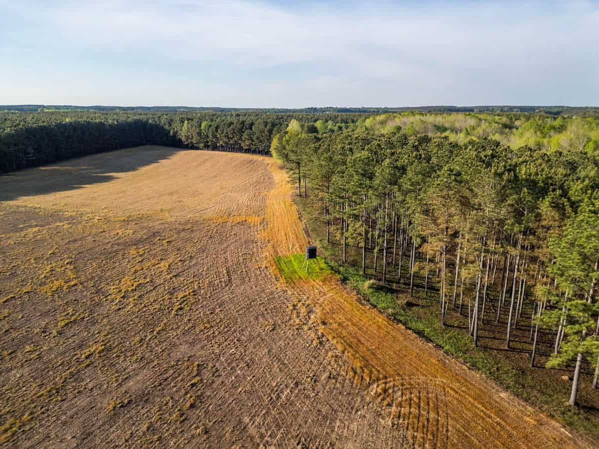 455 Acres Hunting & Income Land in Choctaw County MS