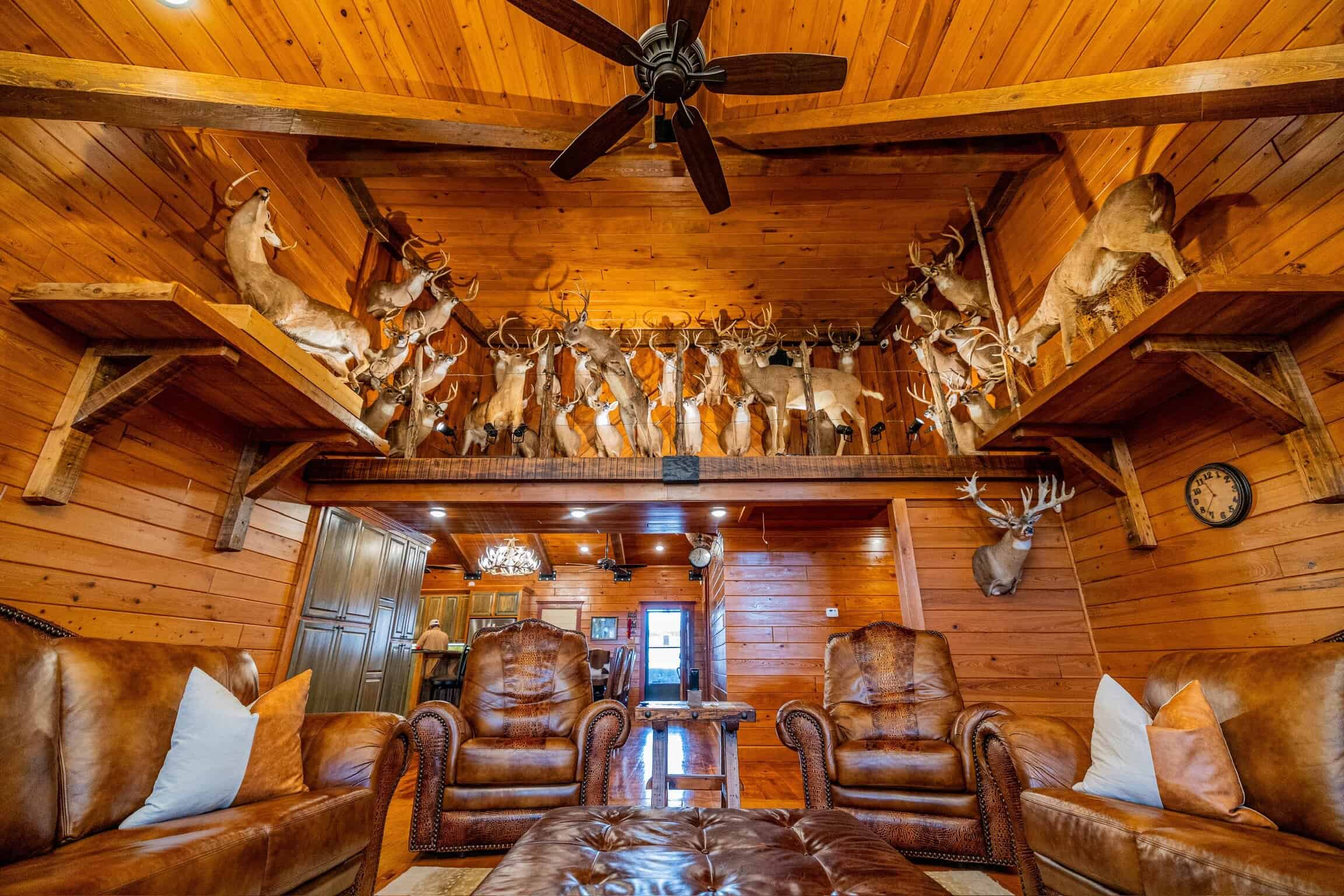 1,196+/- Acre Deer & Duck Hunting Paradise Tensas Parish, LA