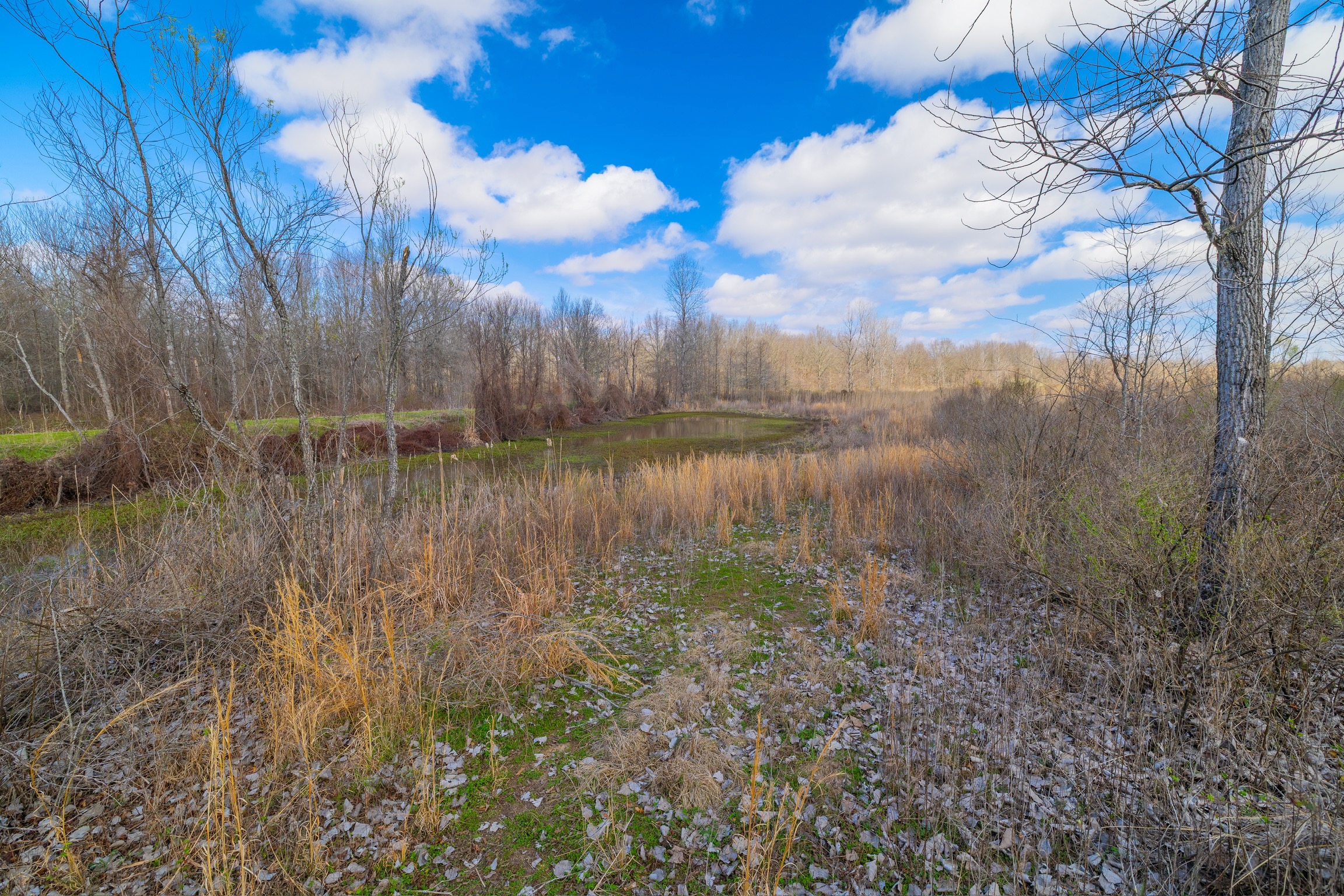 330+/- Acre Deer and Duck Hunting Property with a Camp