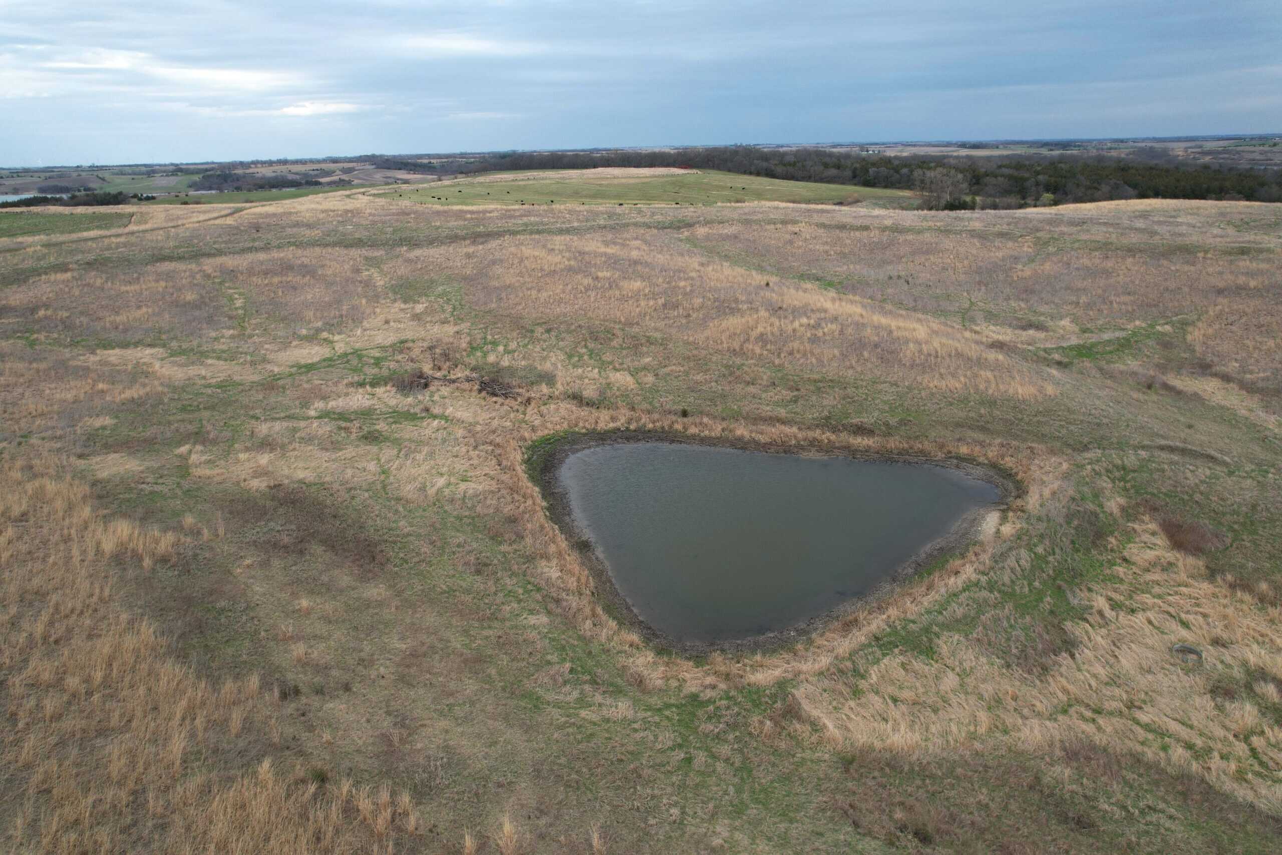 Southwest Iowa Income Producing Combination Farm