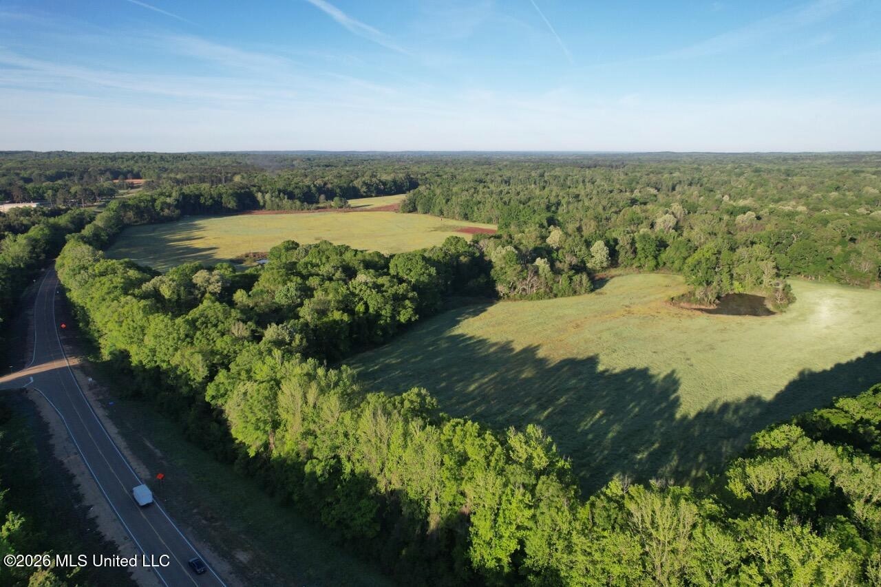 266± Acres Hinds/Copiah Line with Creek and Income