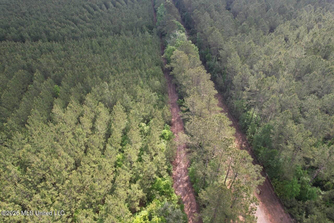 46 Acres in St. Helena Parish, LA Hunting Property for Sale