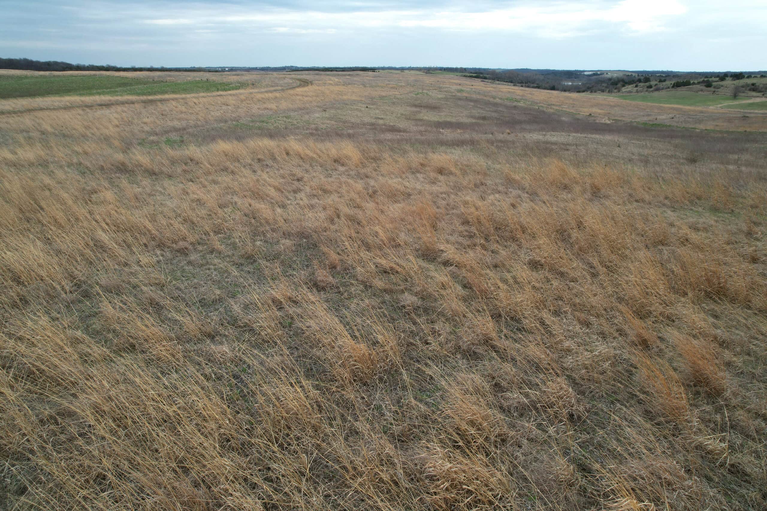 Southwest Iowa Recreational CRP Farm