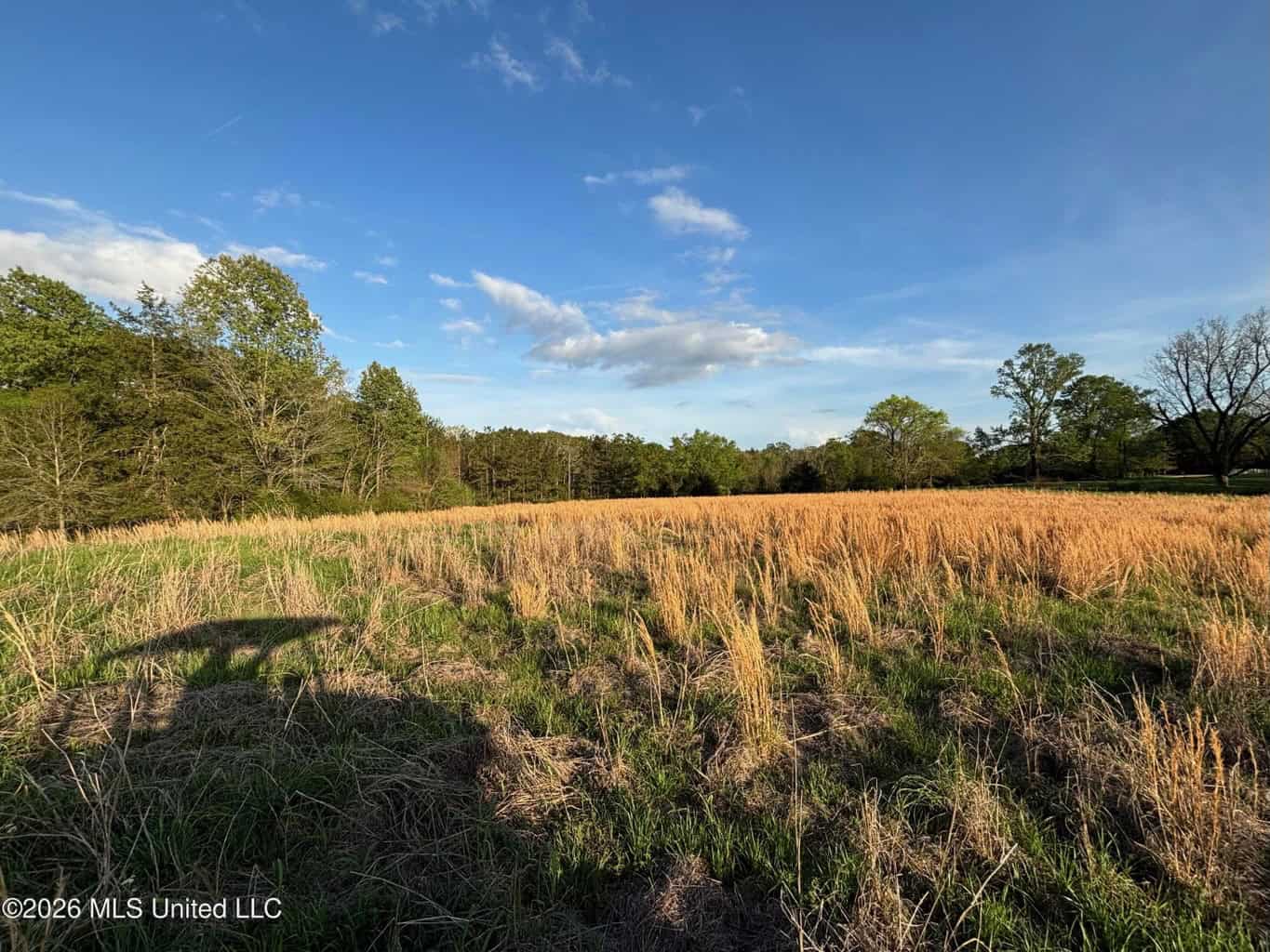 77 Acres in Edwards, MS Hinds County Big Black River Region