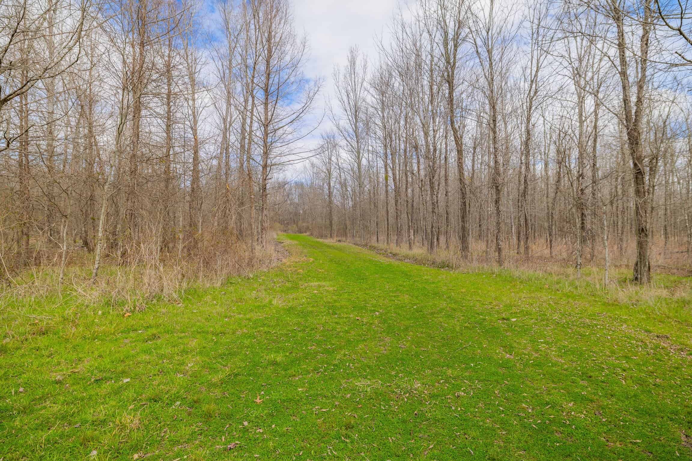 Tensas Parish Duck and Deer Hunting Property