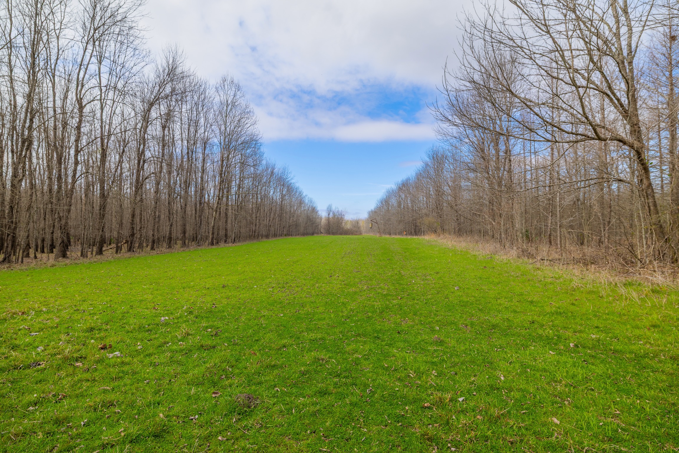 330+/- Acre Deer and Duck Hunting Property with a Camp