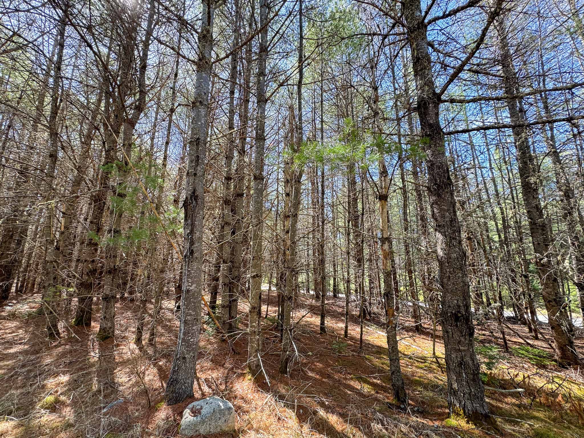 Riverfront Property with 16 Acres – Medway, Maine