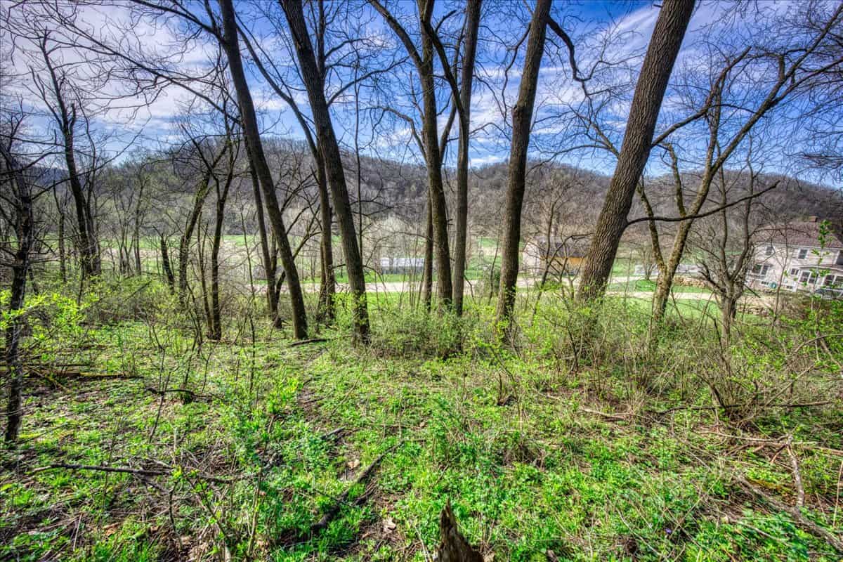 29± Acres of Driftless Beauty | Woods, Water, Pole Shed & Cottage.32