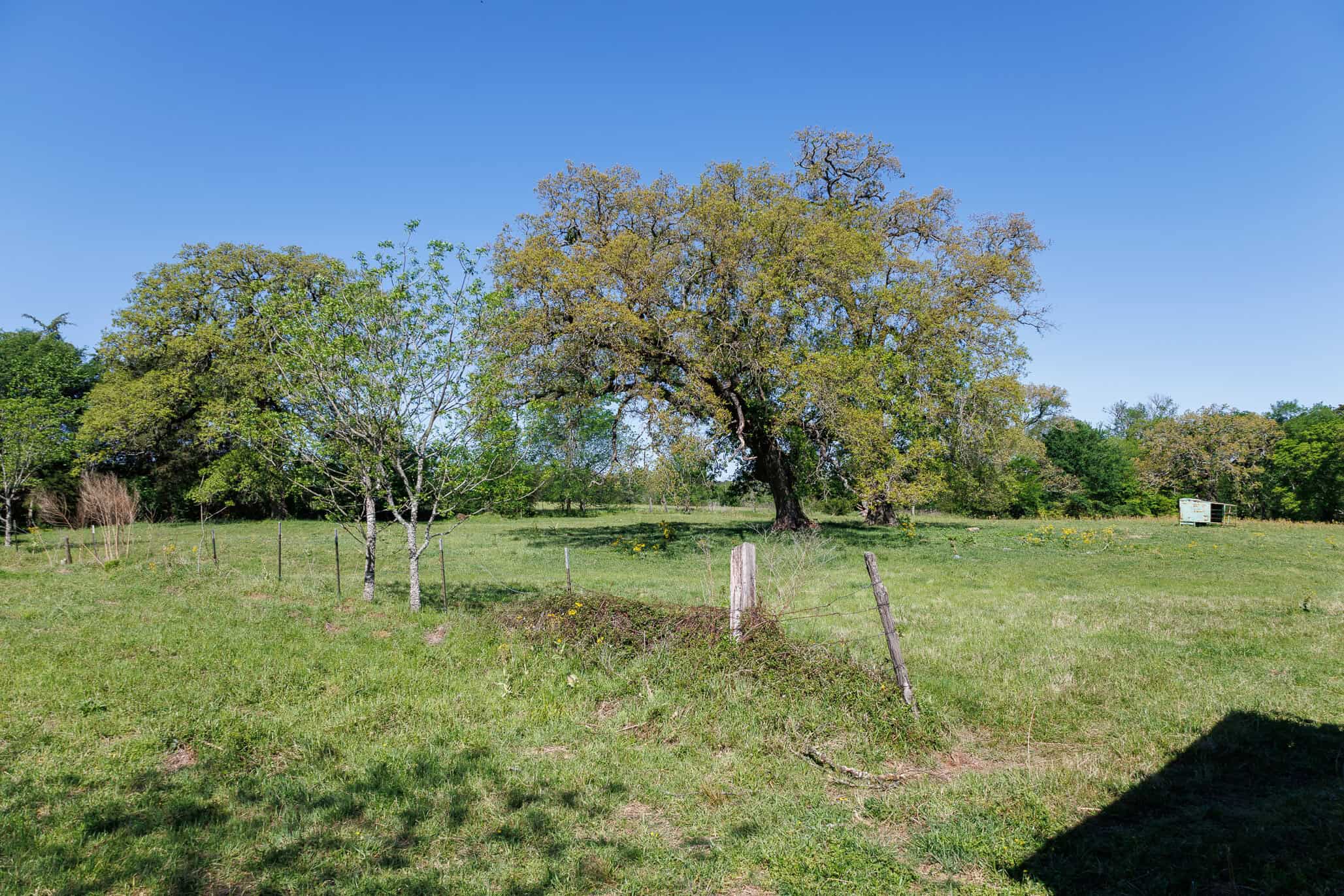 31.74 Acre Recreational Ranch Near Bullard in Smith County TX