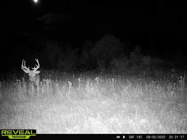 44± Acre Premier Duck and Deer Hunting Property Marquette Cty WI