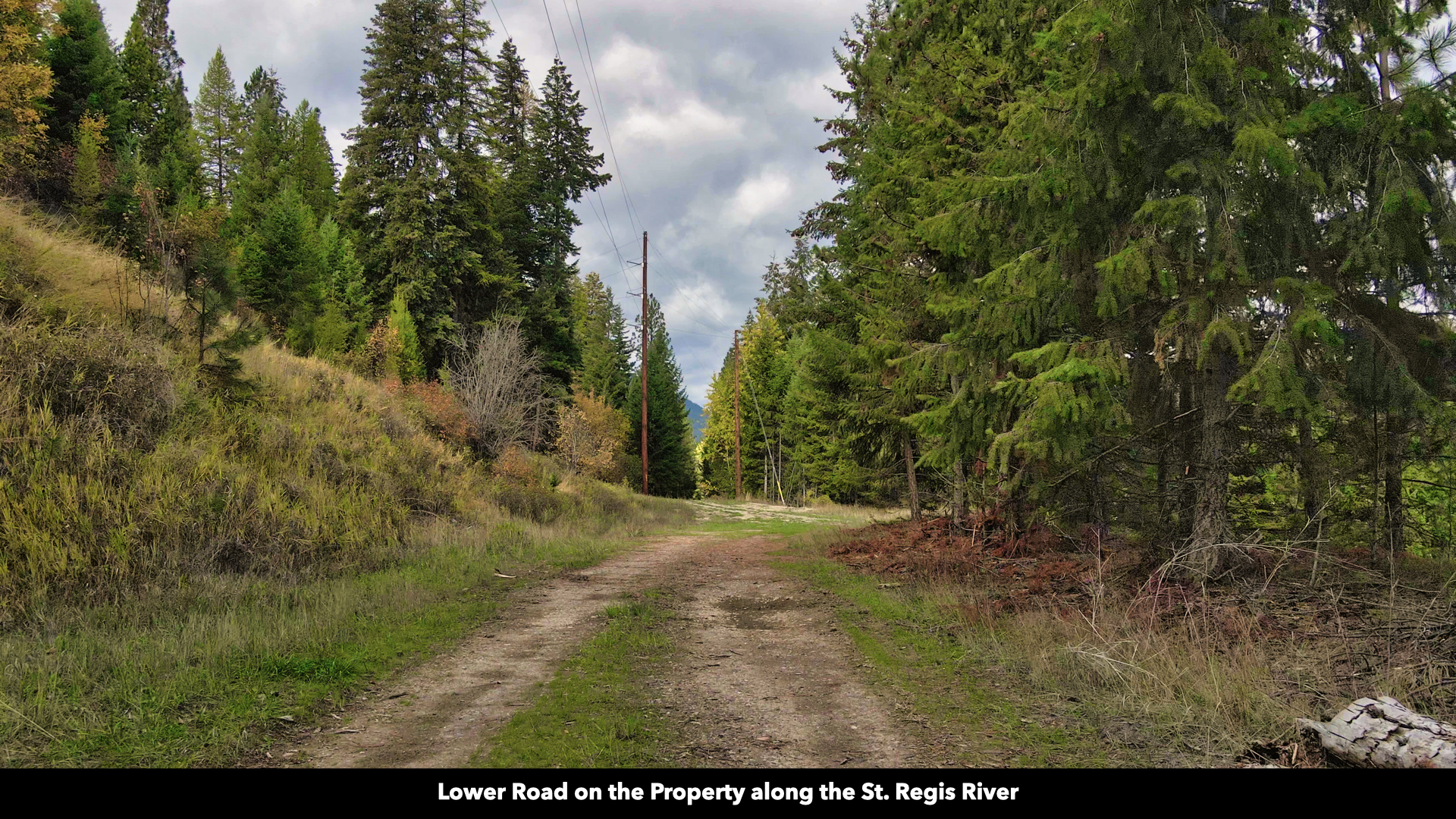 Riverfront Acreage For Sale in St. Regis, Montana