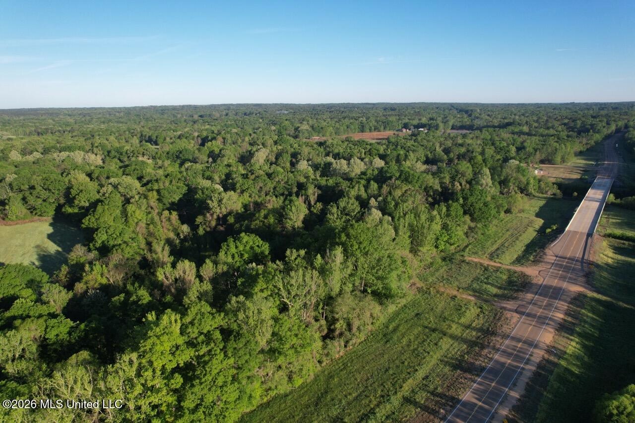 266± Acres Hinds/Copiah Line with Creek and Income