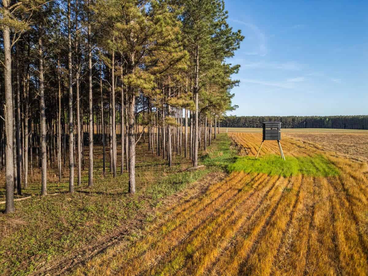 455 Acres Hunting & Income Land in Choctaw County MS