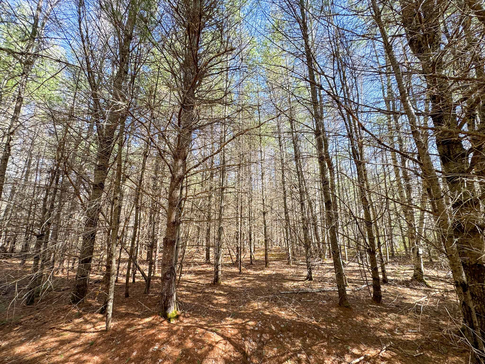 Riverfront Property with 16 Acres – Medway, Maine