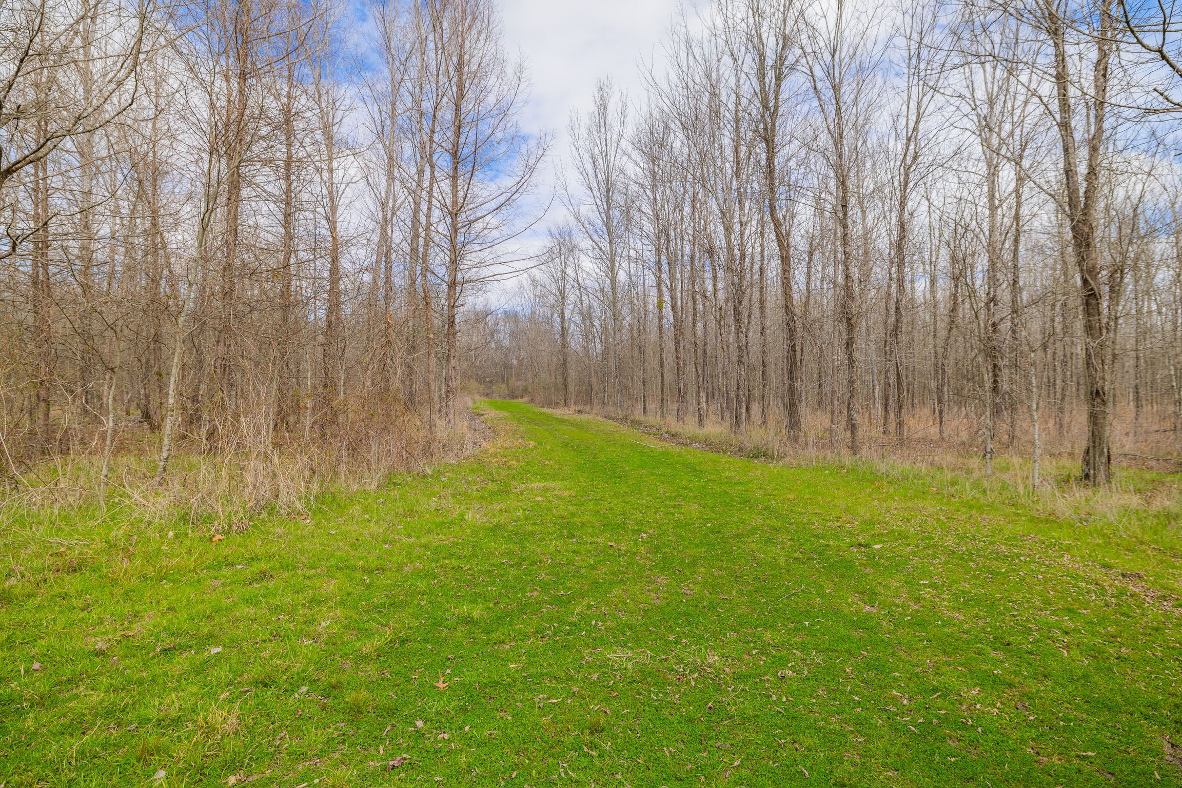330+/- Acre Deer and Duck Hunting Property with a Camp
