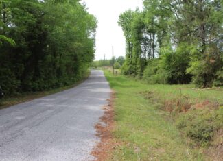 Hunting Land For Sale Pike County Jayess Mississippi