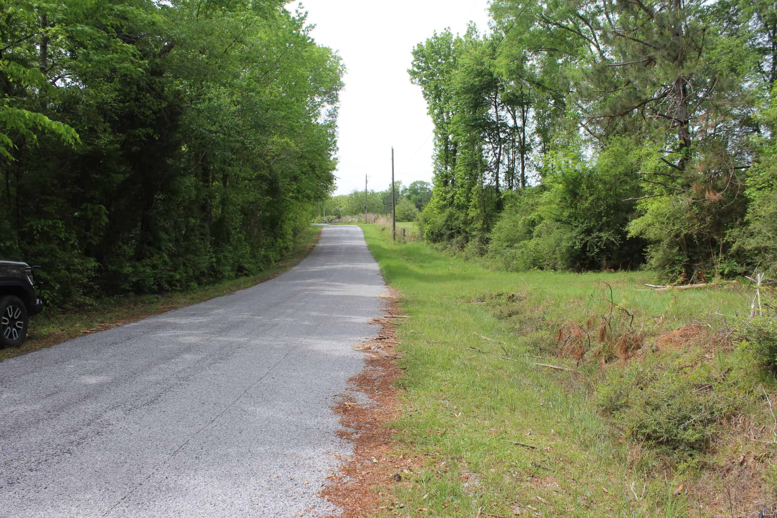 Hunting Land For Sale Pike County Jayess Mississippi