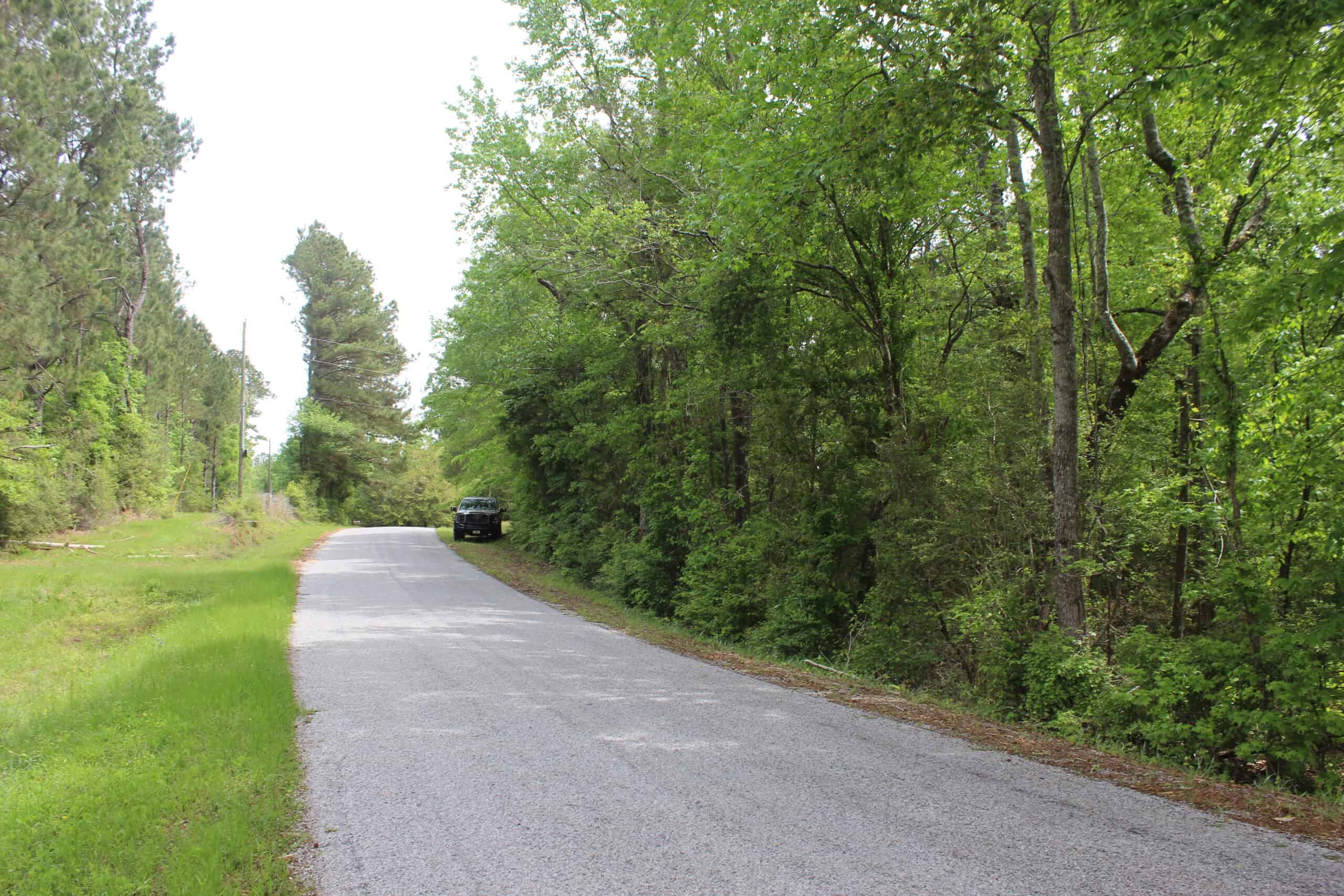 Hunting Land For Sale Pike County Jayess Mississippi