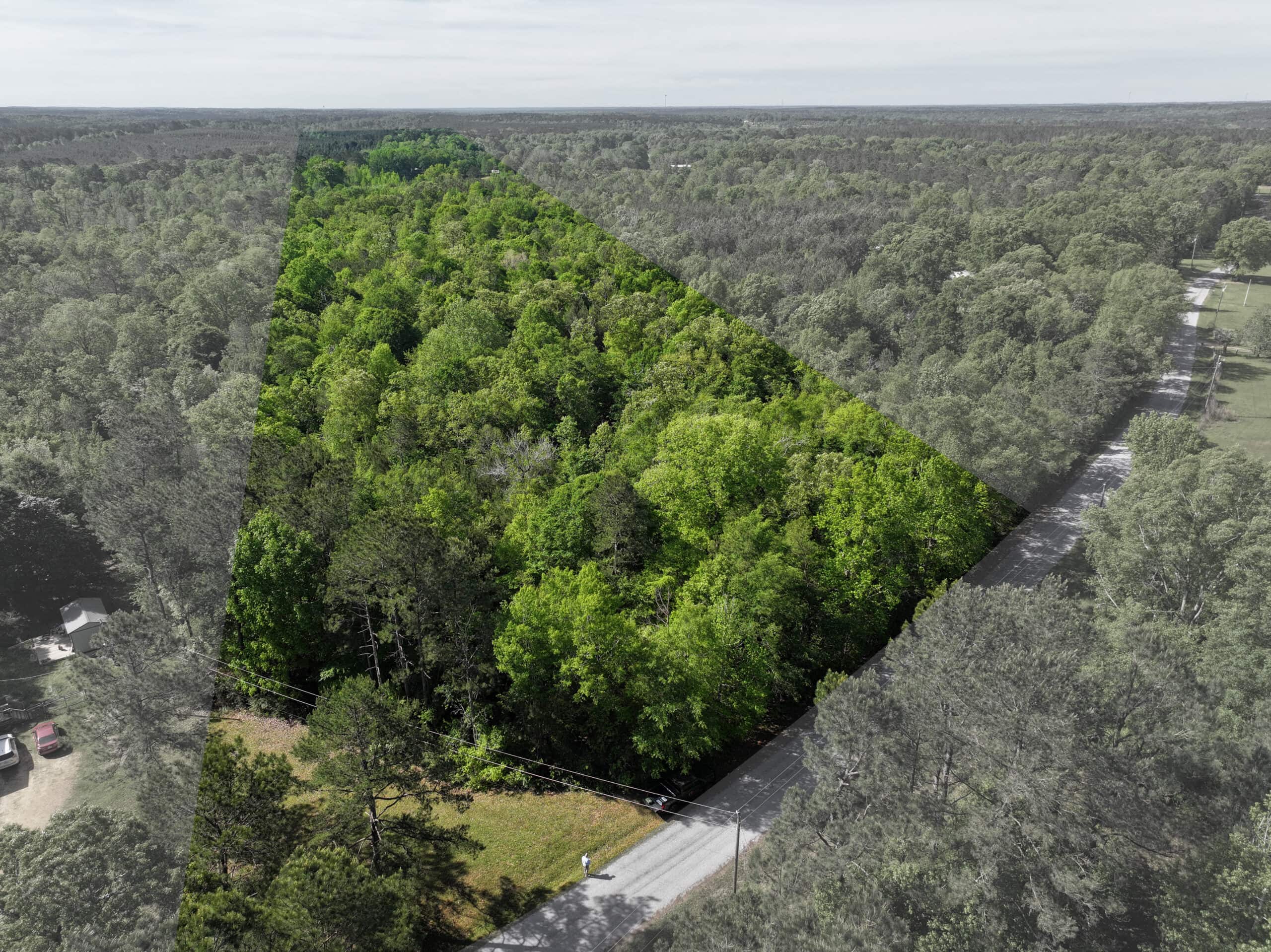 Hunting Land For Sale Pike County Jayess Mississippi