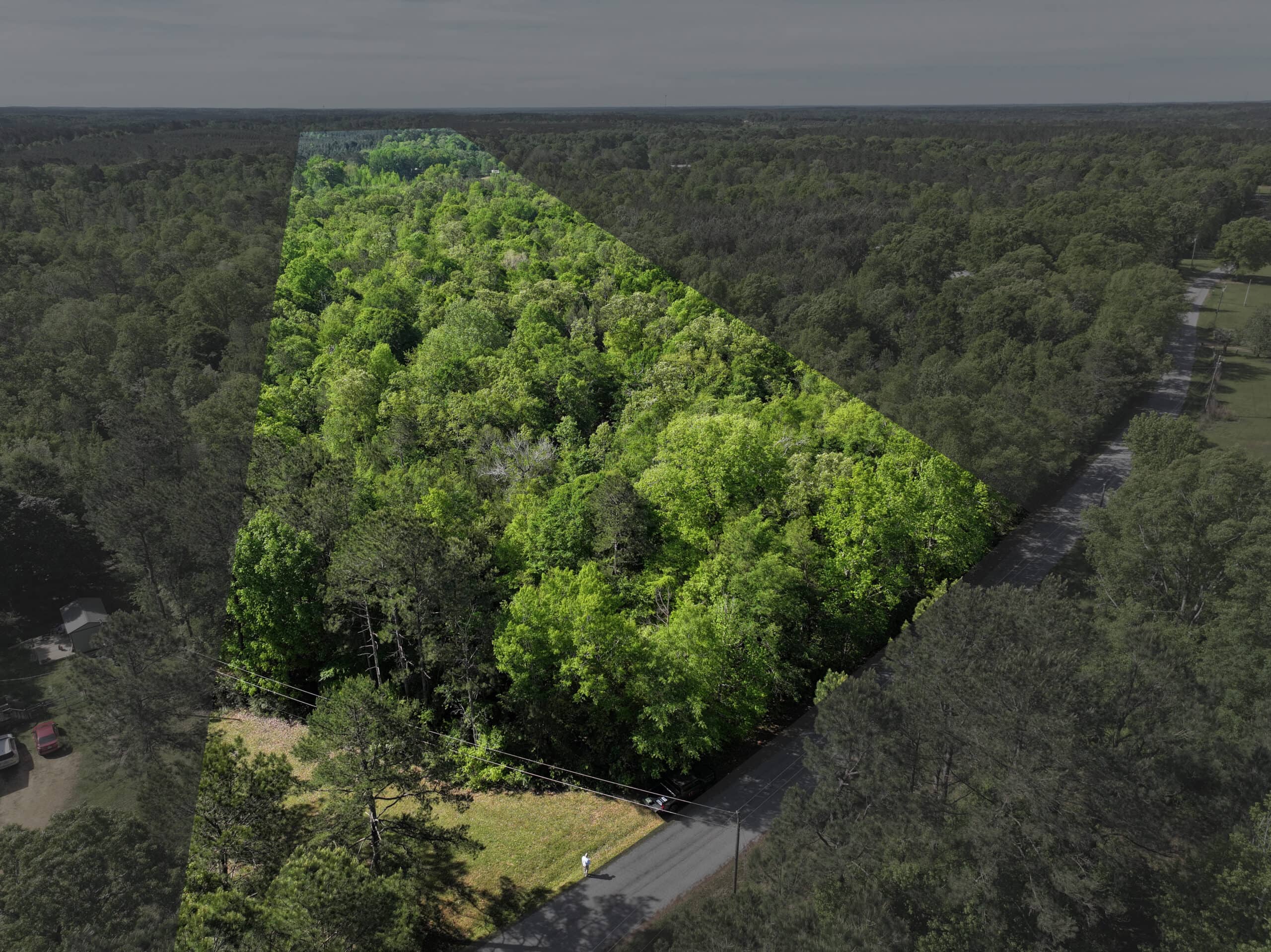 Hunting Land For Sale Pike County Jayess Mississippi