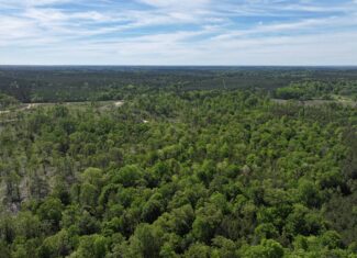 Hunting Land For Sale Pike County Jayess Mississippi