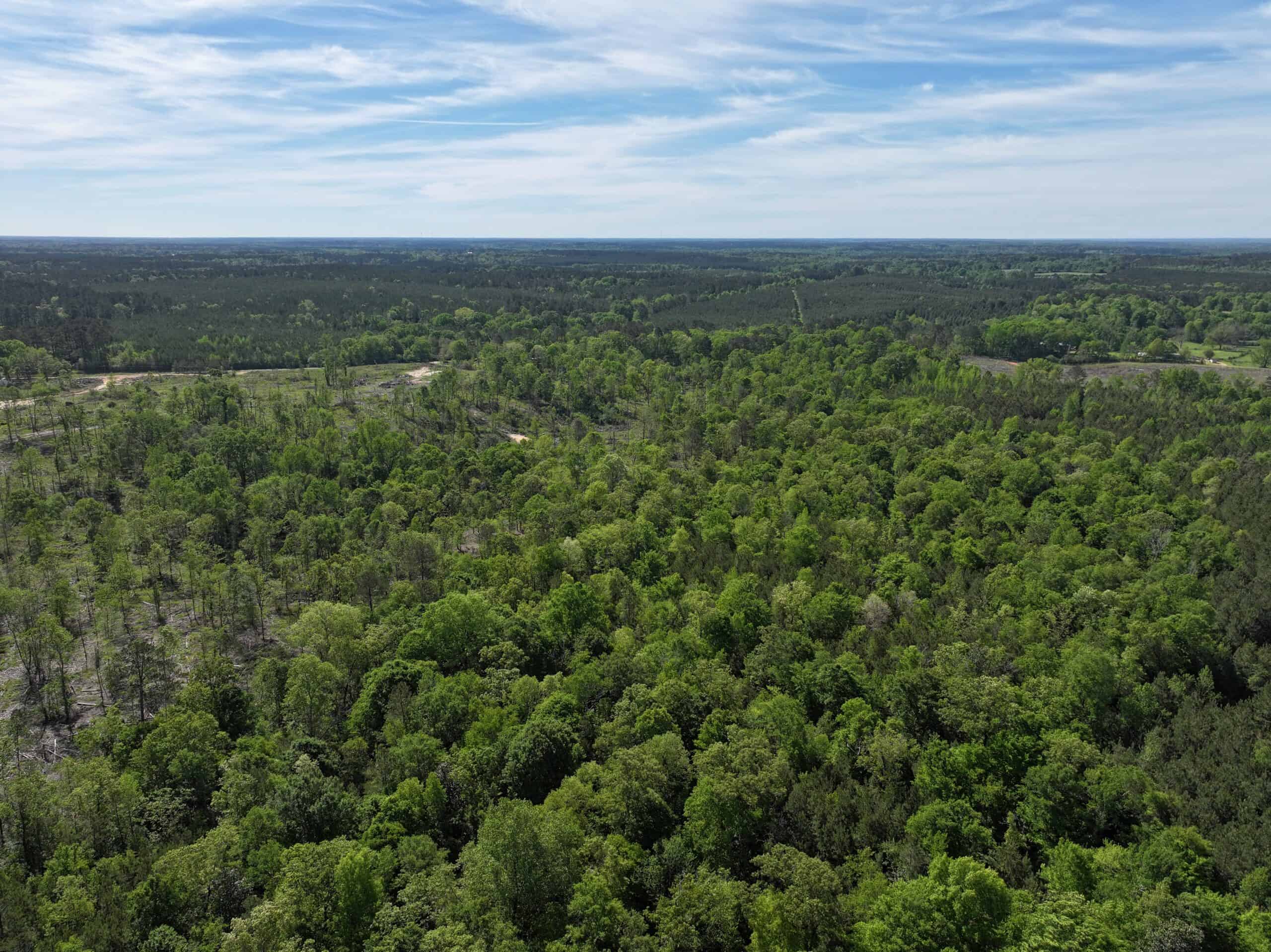 Hunting Land For Sale Pike County Jayess Mississippi