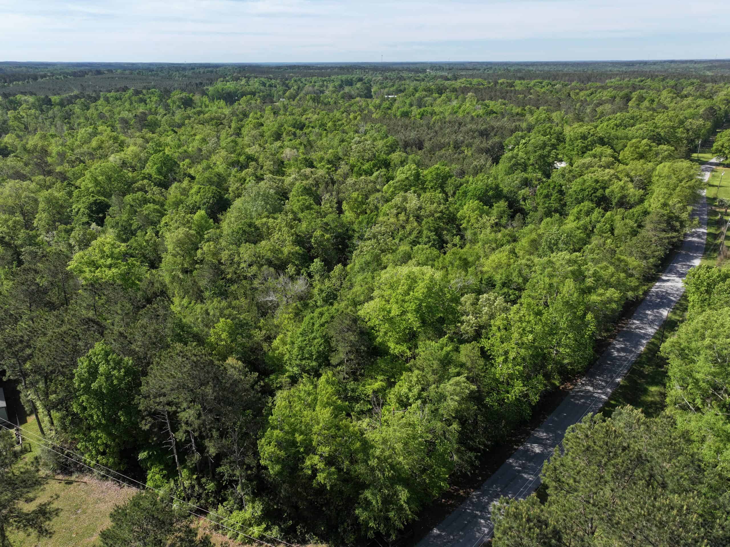 Hunting Land For Sale Pike County Jayess Mississippi